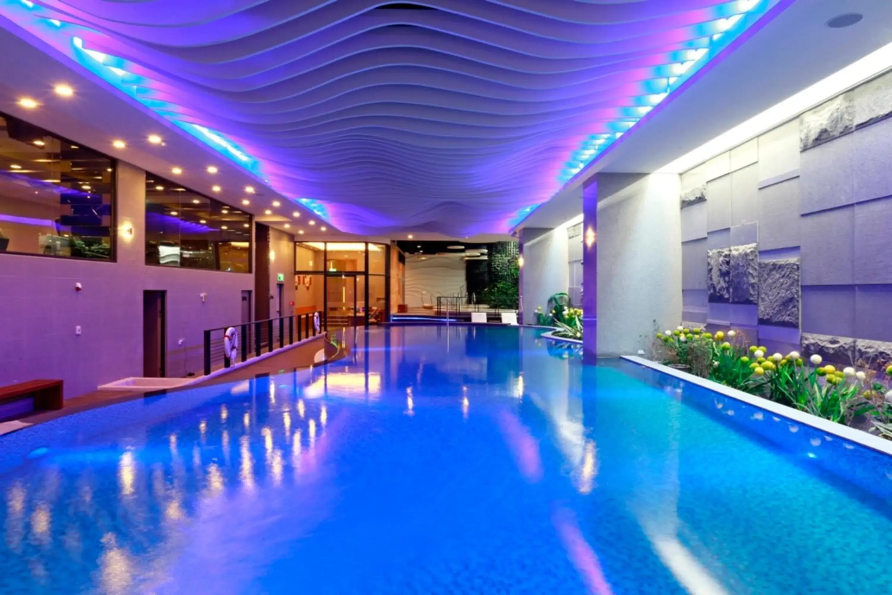 Swimming pool in Golden Tulip - Aesthetics Swimming pool in Golden Tulip - Aesthetics