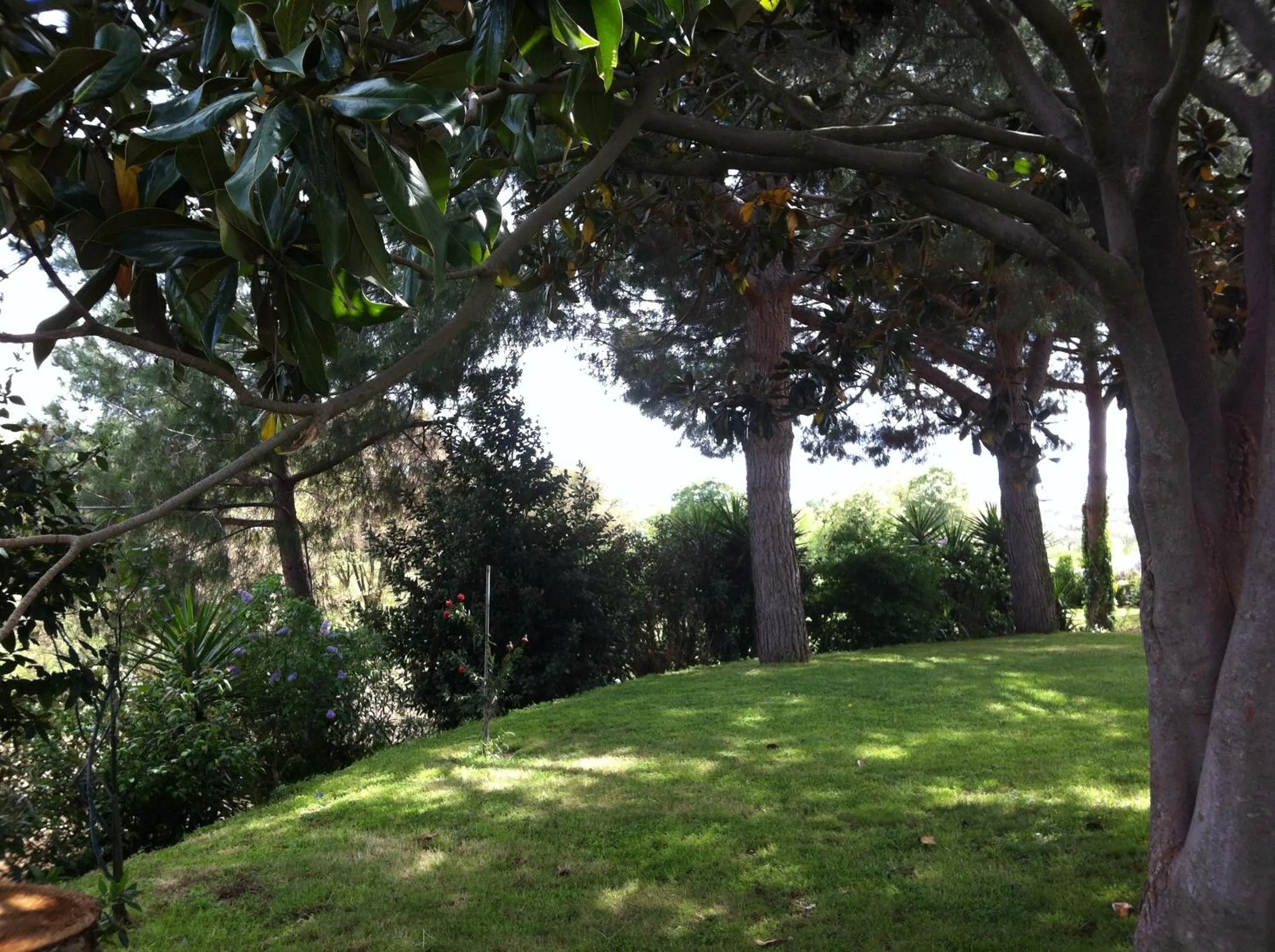 Garden in La Finestra Sul Cortile
