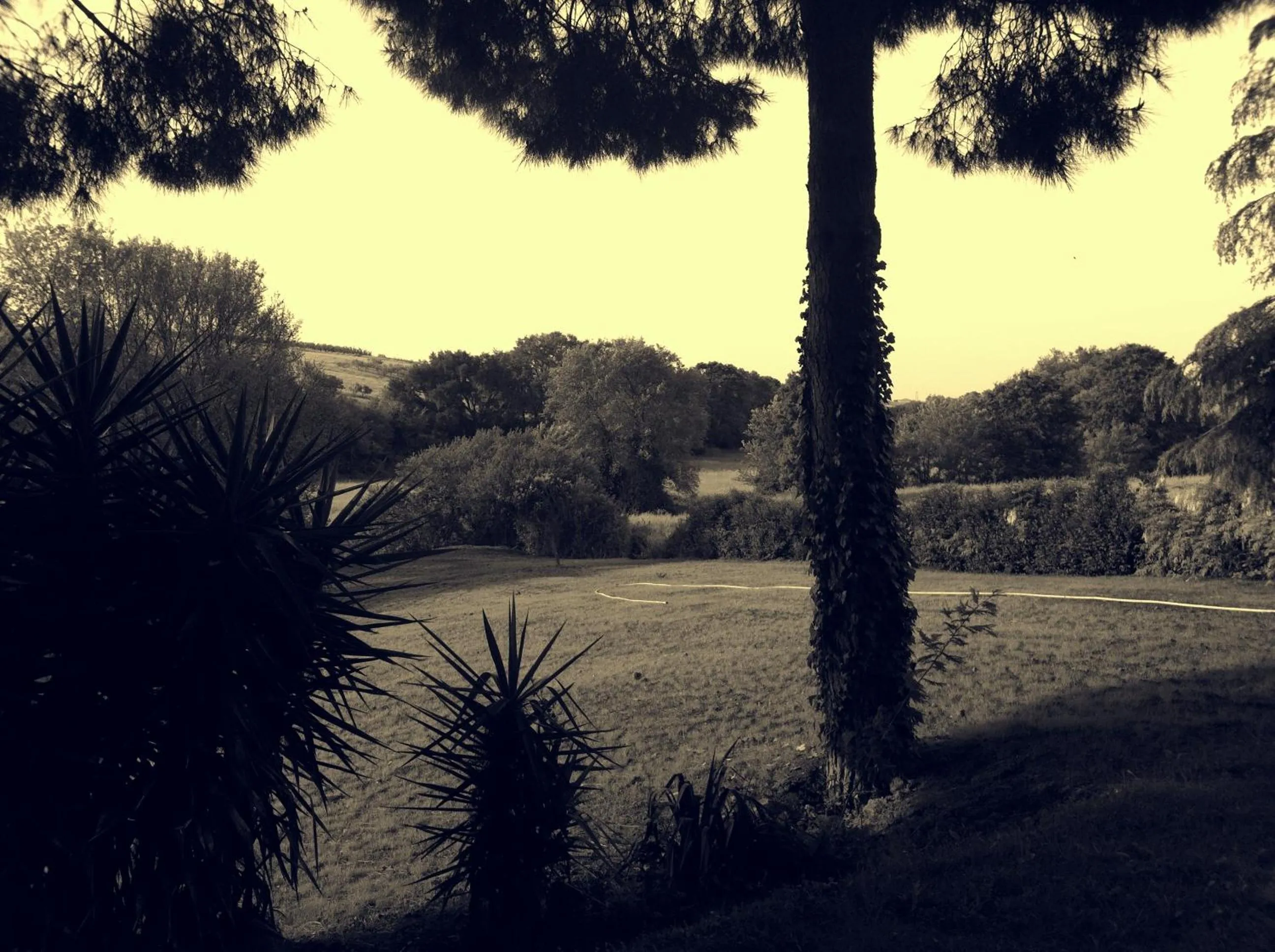 Garden in La Finestra Sul Cortile
