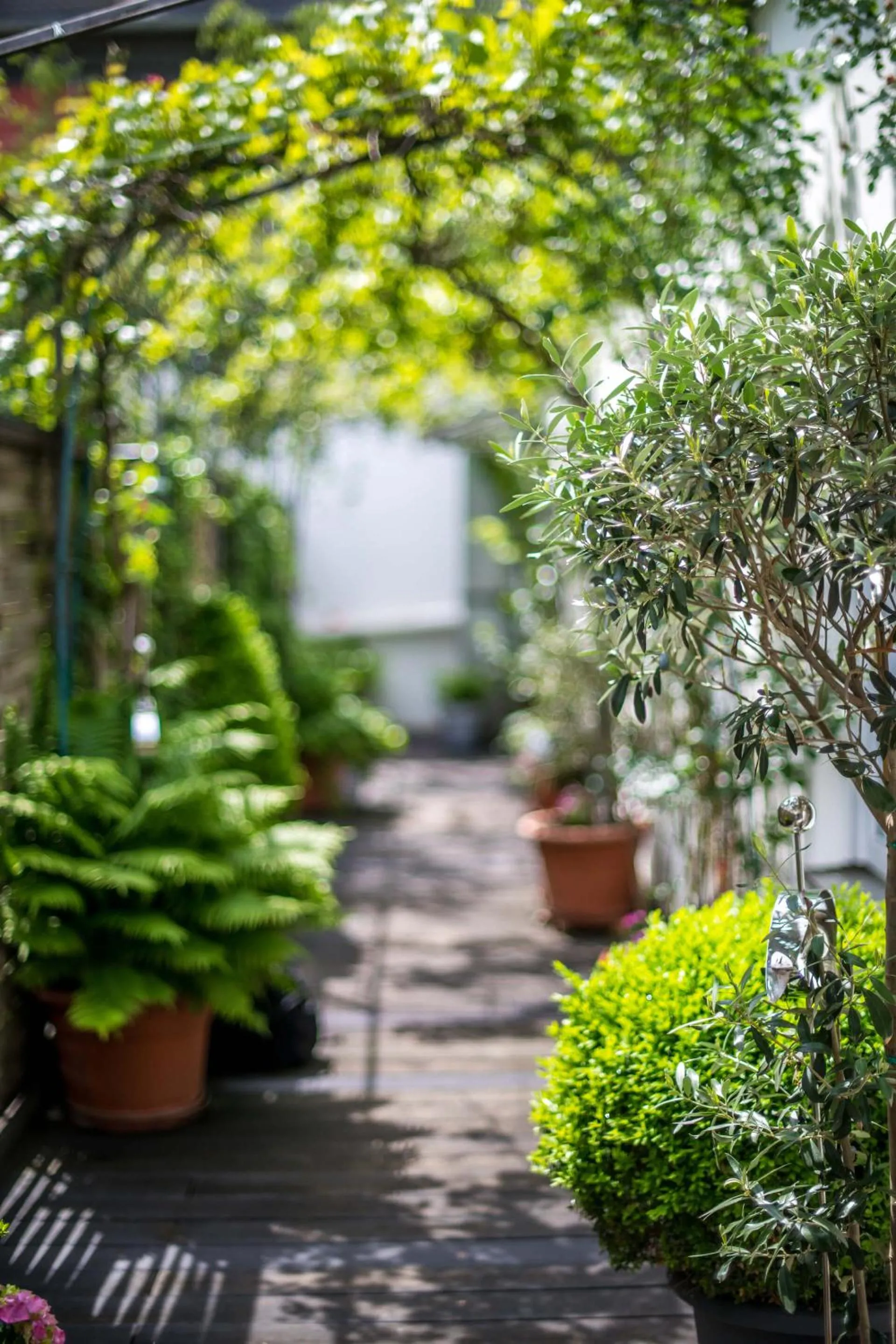 Patio in Ferienwohnung Koblenz Altstadt
