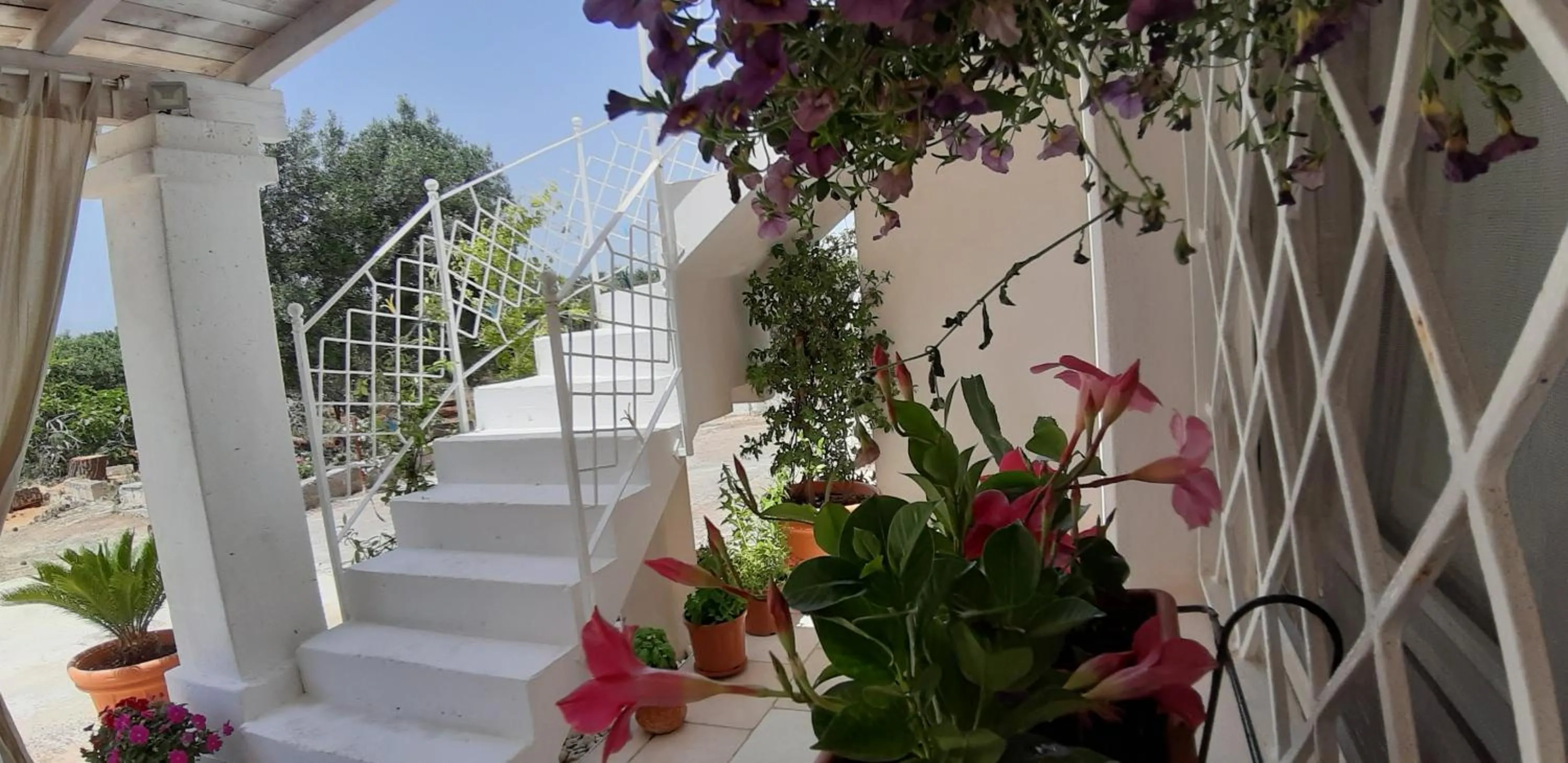Balcony/Terrace in Casa alle Colonne