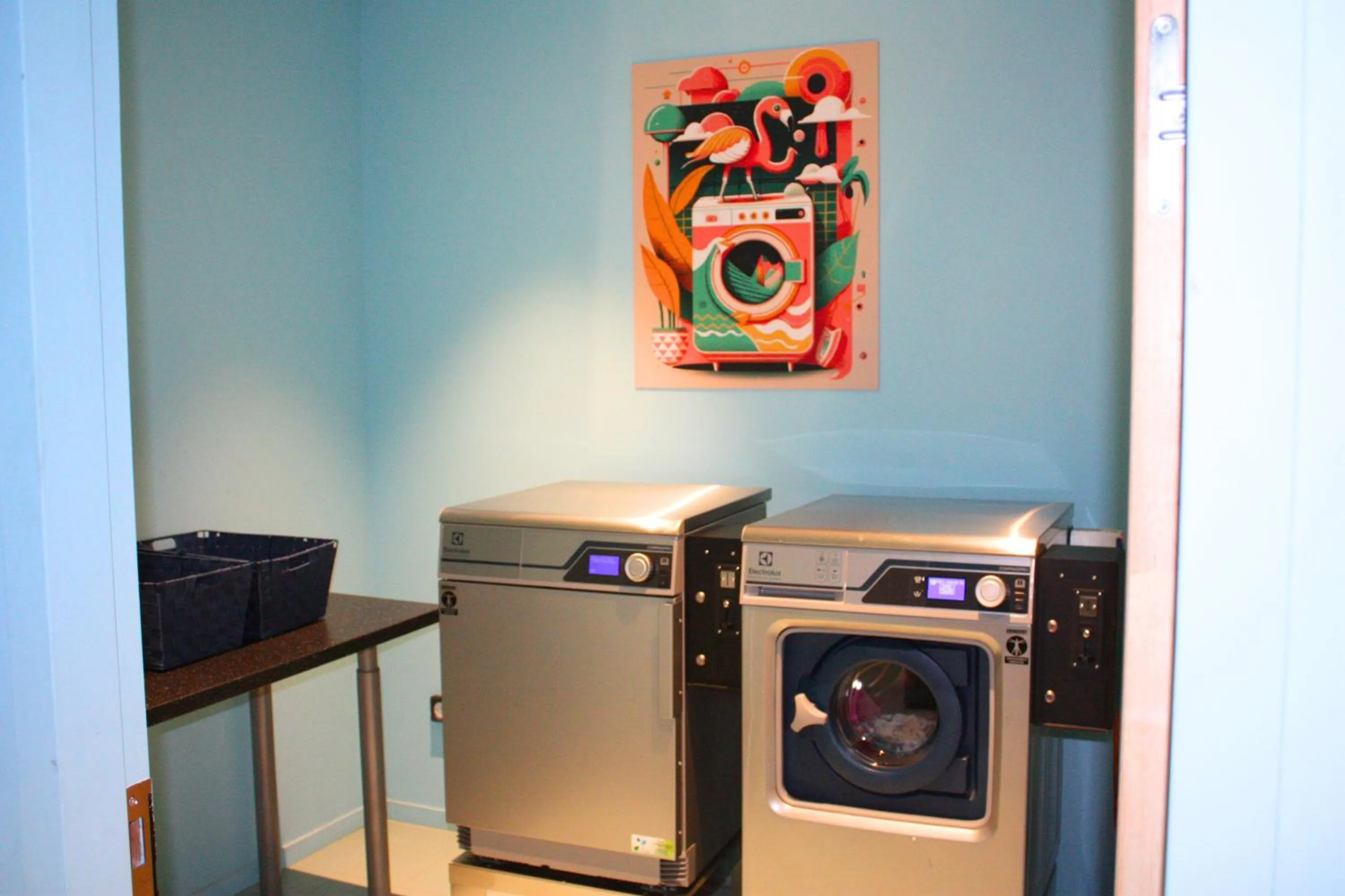 laundry in Aparthotel Adagio Access Porte de Camargue