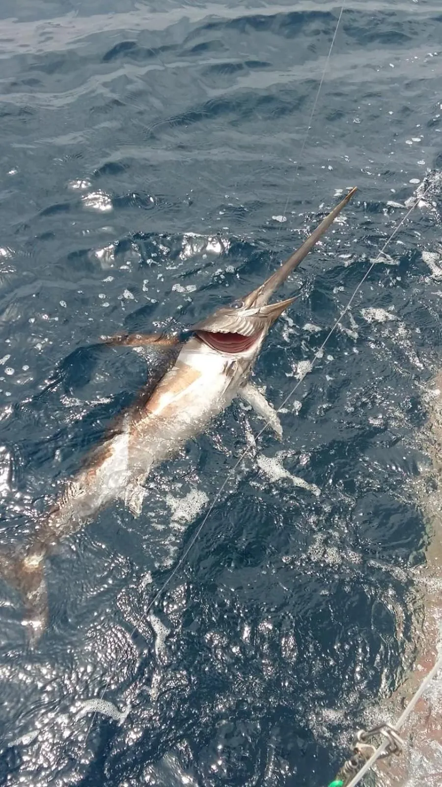 Activities in Casa Mafalda