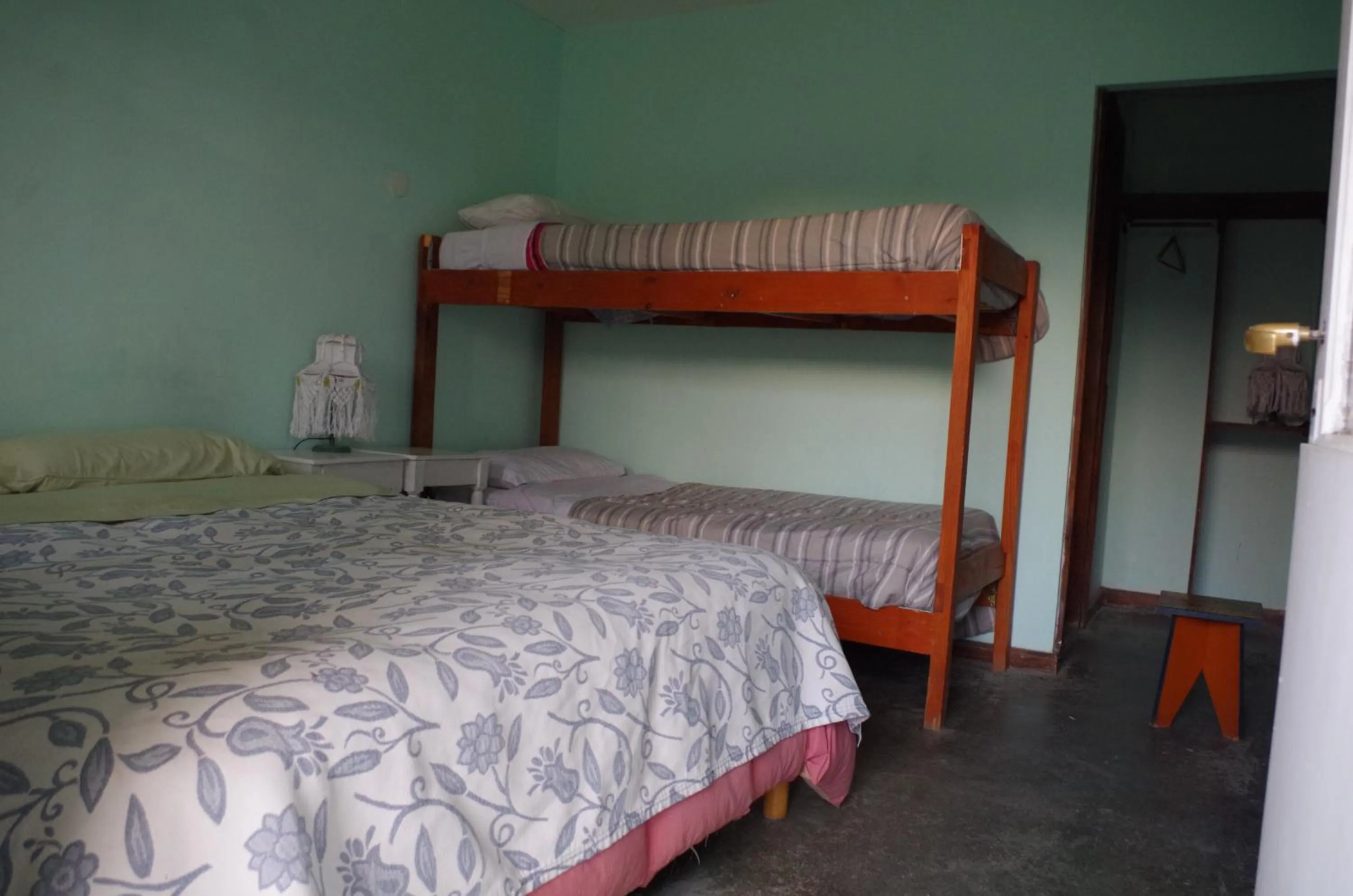 Bed in Hostel Los Cormoranes