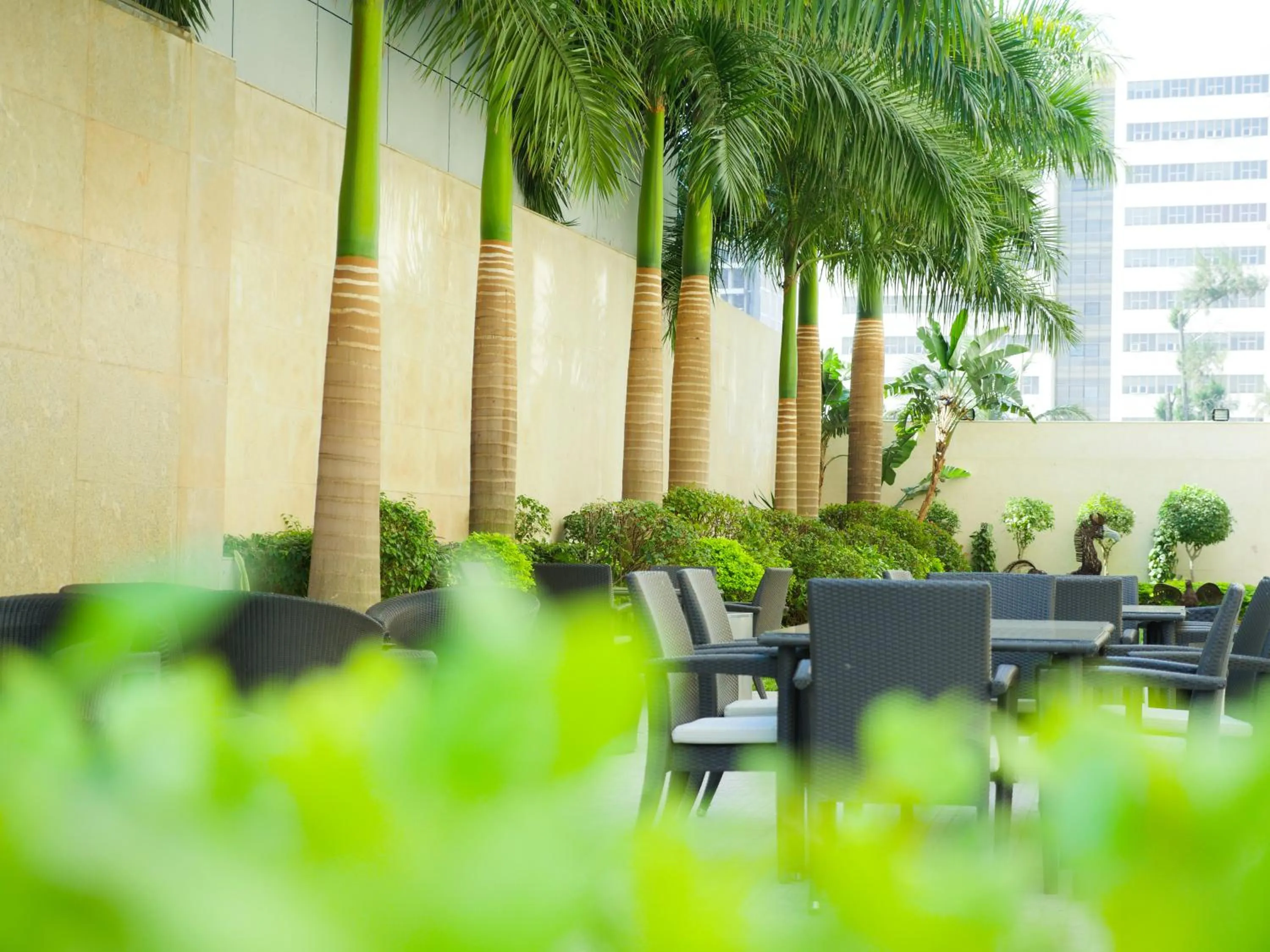 Garden in Afrin Prestige Hotel