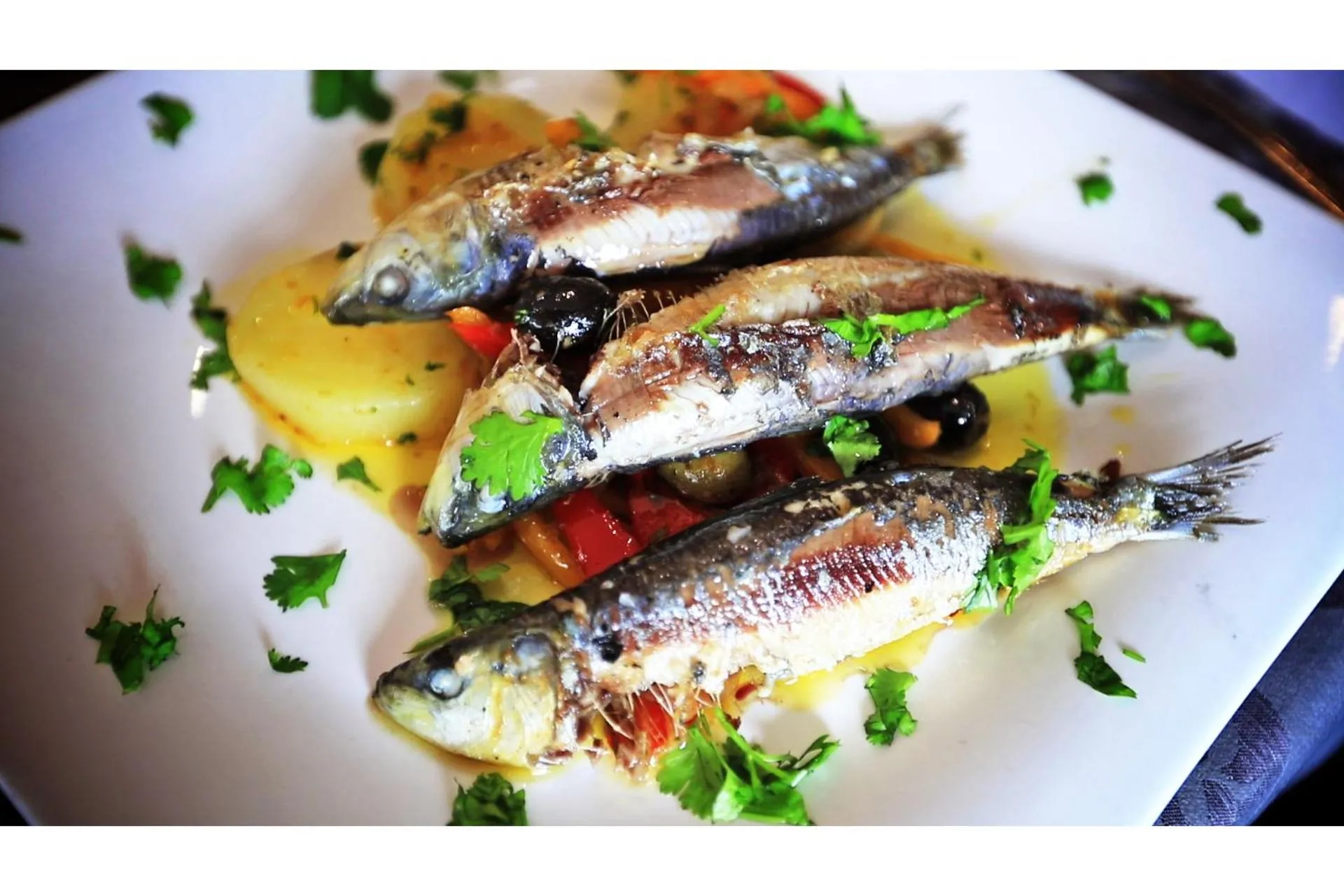 Dinner in Afrin Prestige Hotel