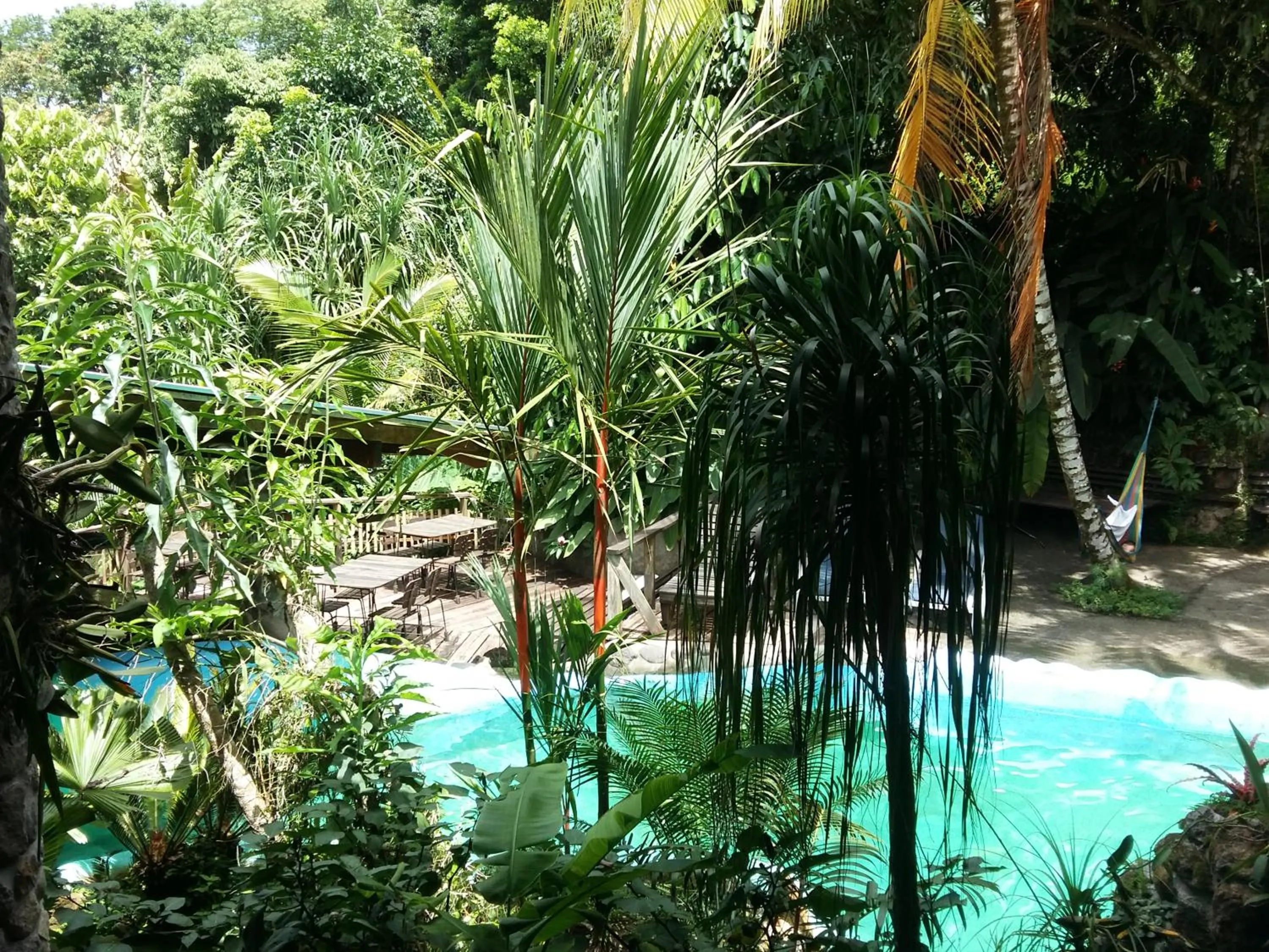 Balcony/Terrace in Omega Tours Eco-Jungle Lodge