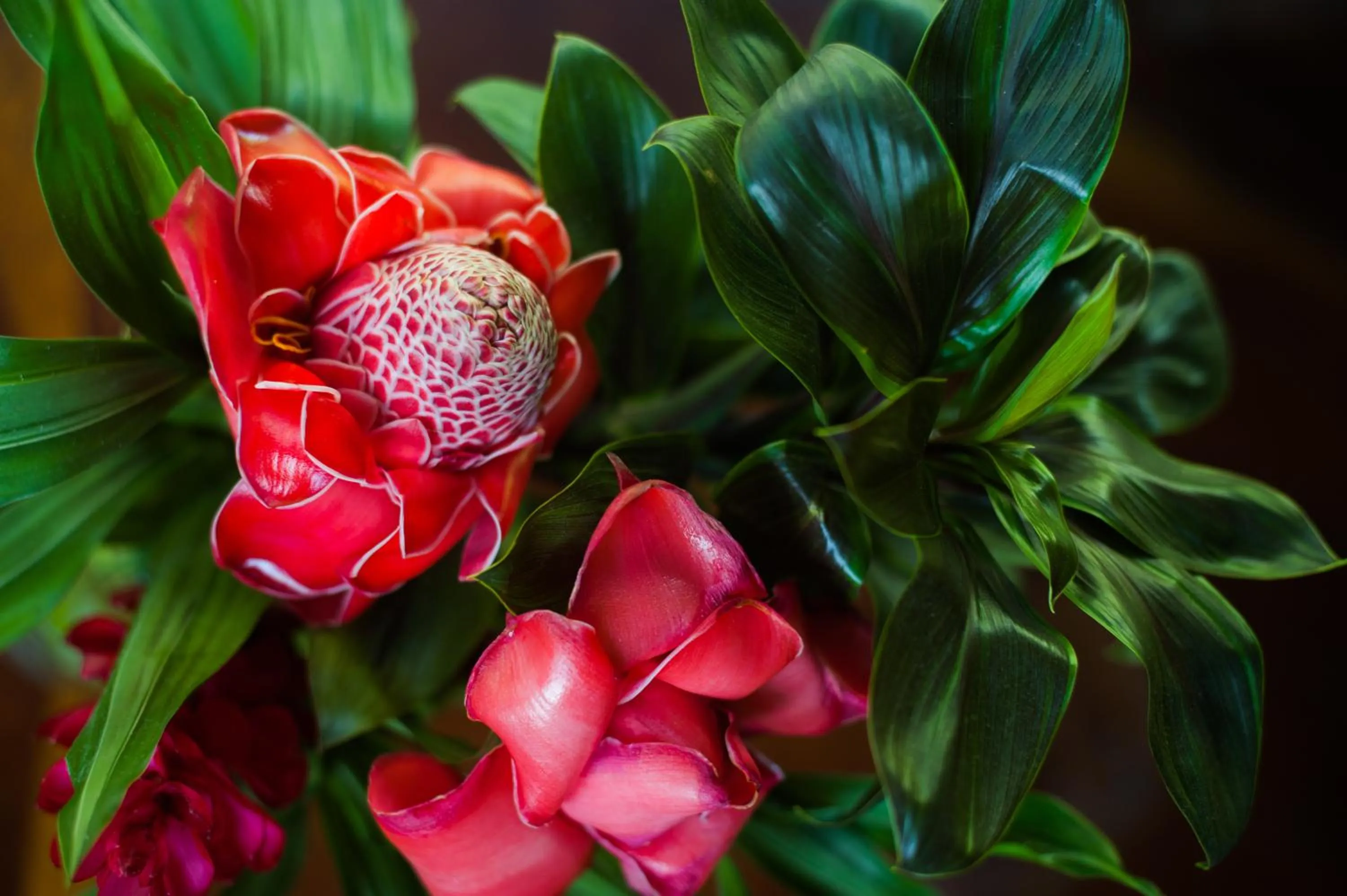 Natural landscape in Omega Tours Eco-Jungle Lodge