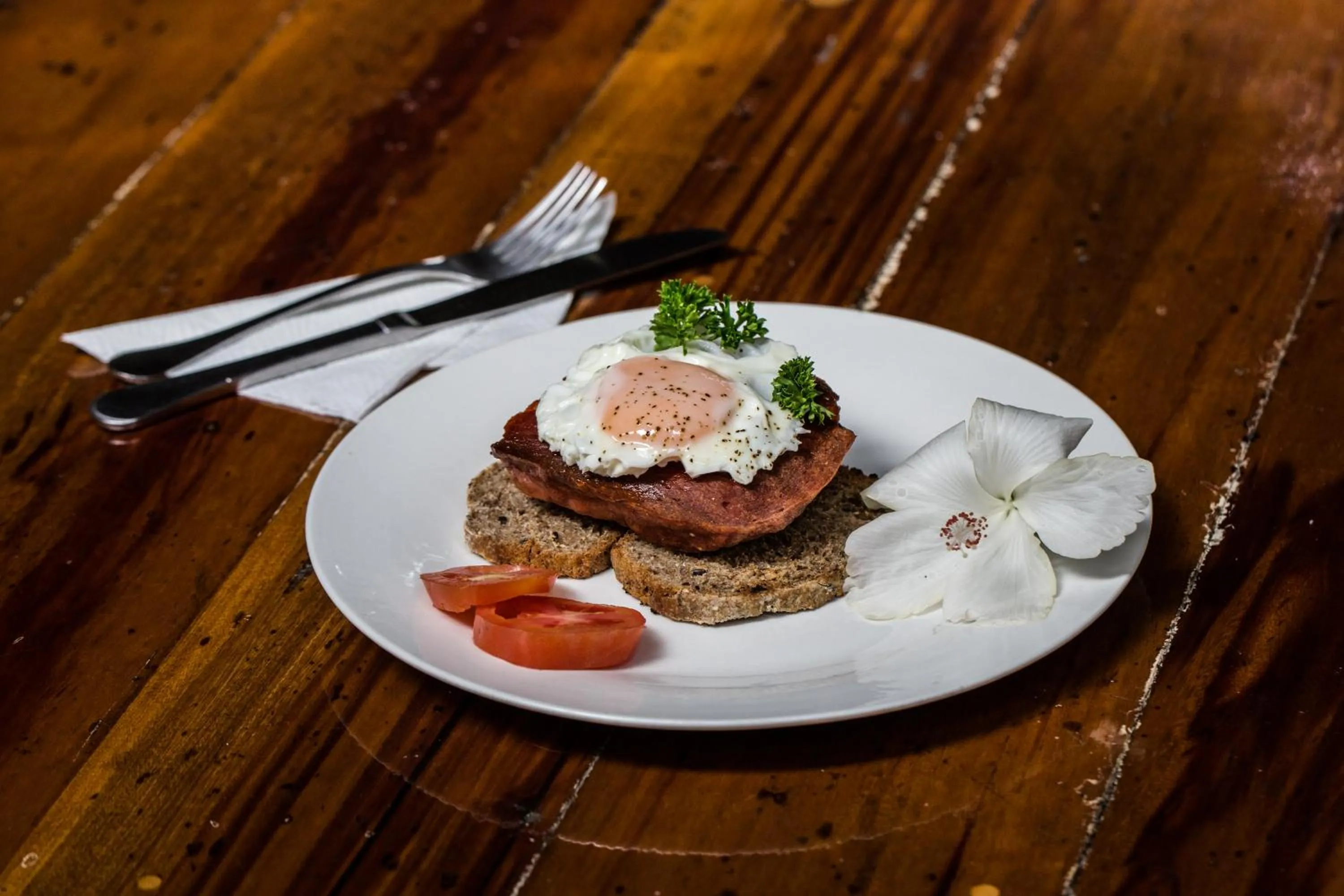 On site in Omega Tours Eco-Jungle Lodge