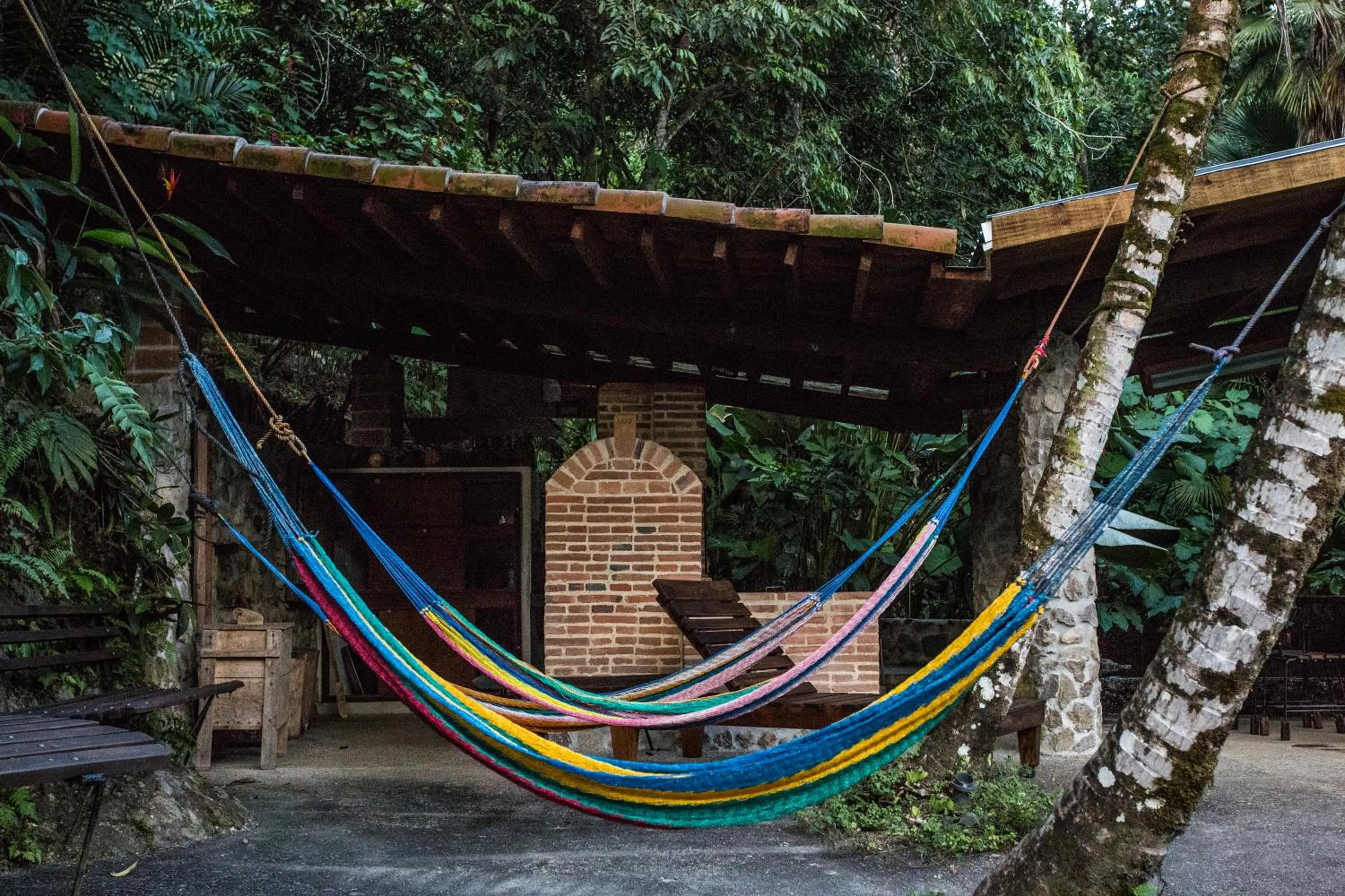 Restaurant/places to eat in Omega Tours Eco-Jungle Lodge