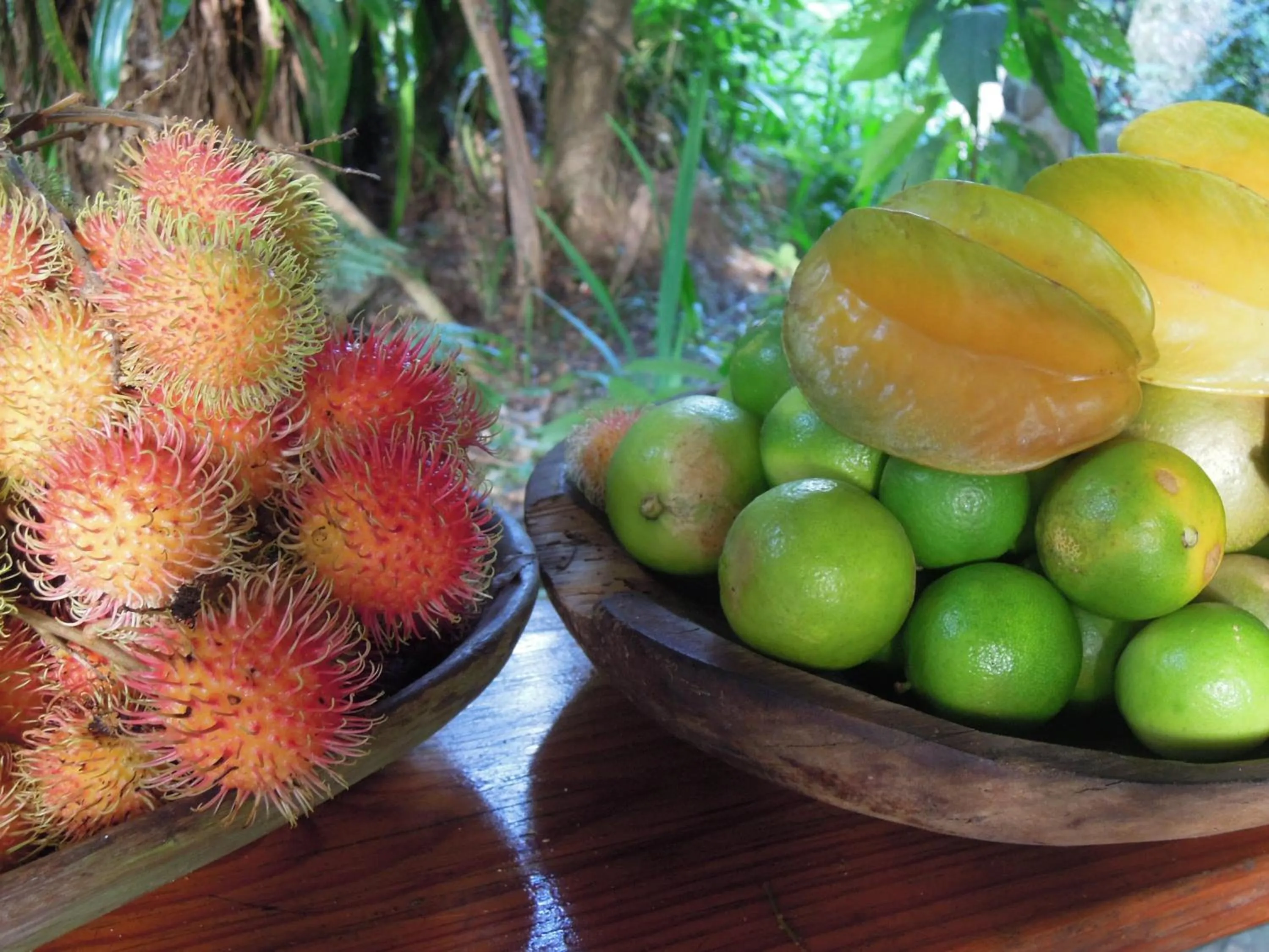 Food close-up in Omega Tours Eco-Jungle Lodge