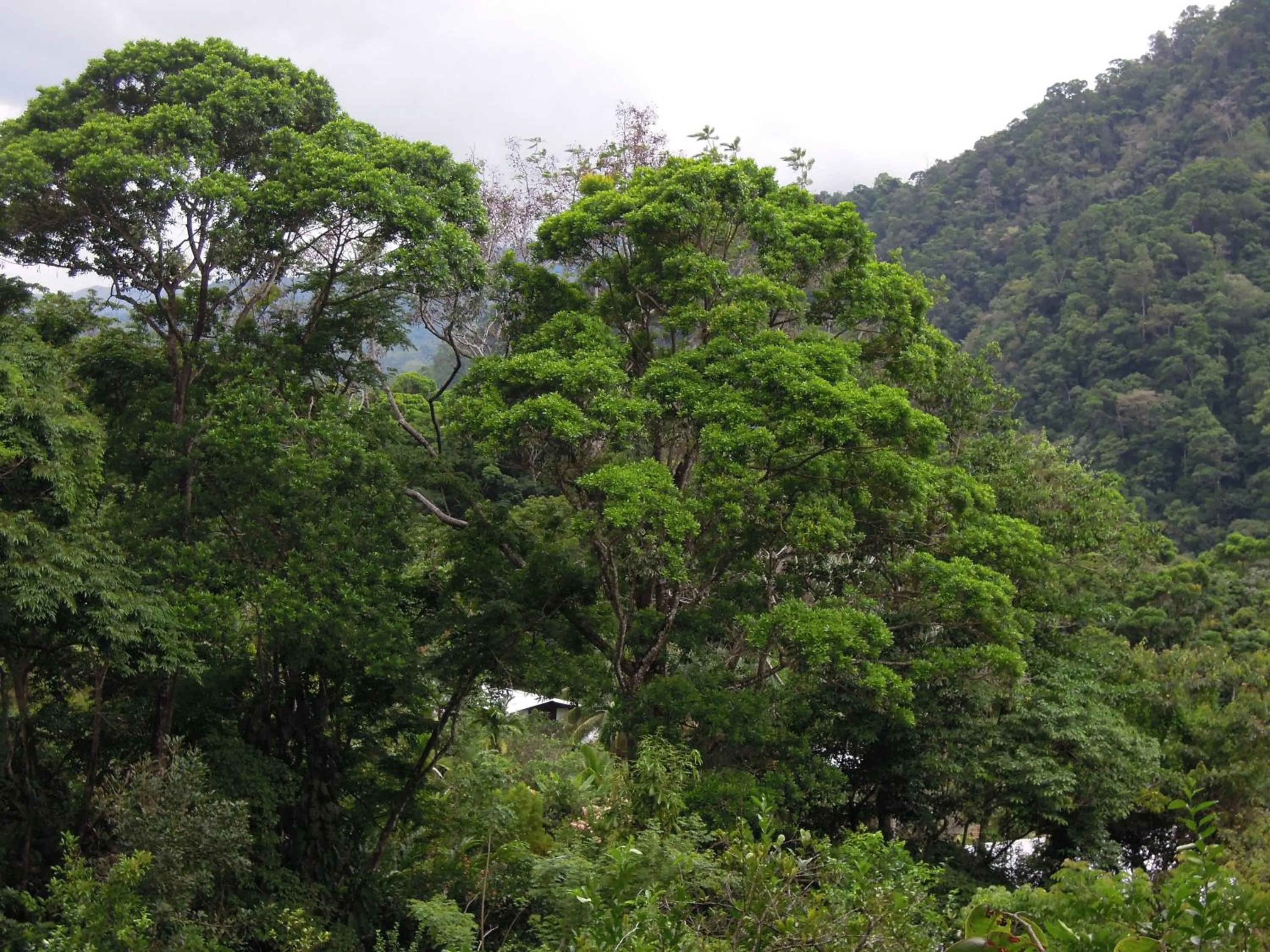 Patio in Omega Tours Eco-Jungle Lodge