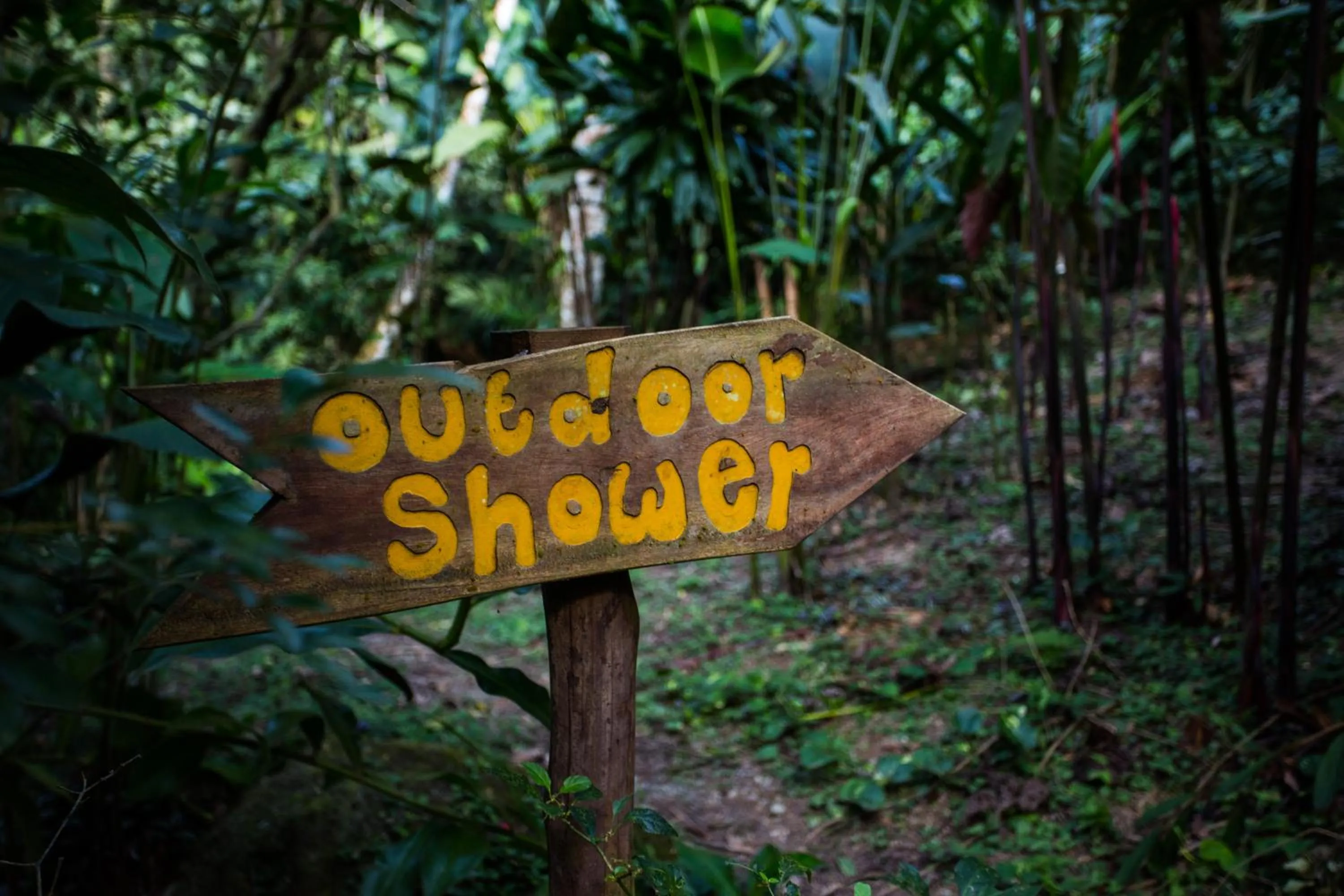 Hiking in Omega Tours Eco-Jungle Lodge