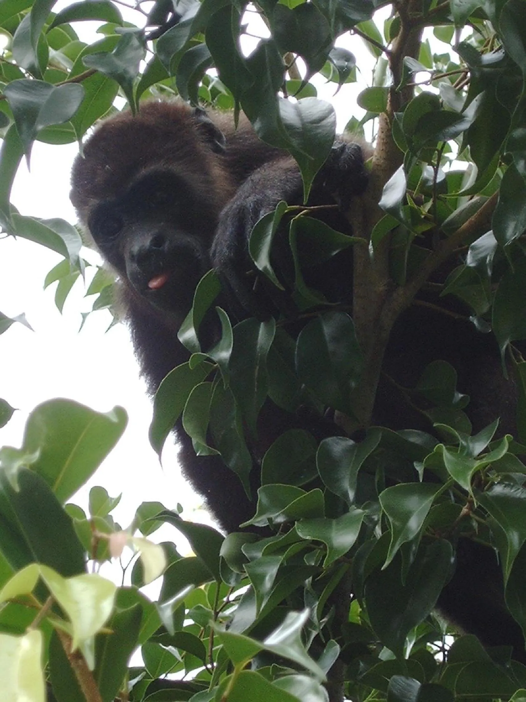 Off site in Omega Tours Eco-Jungle Lodge