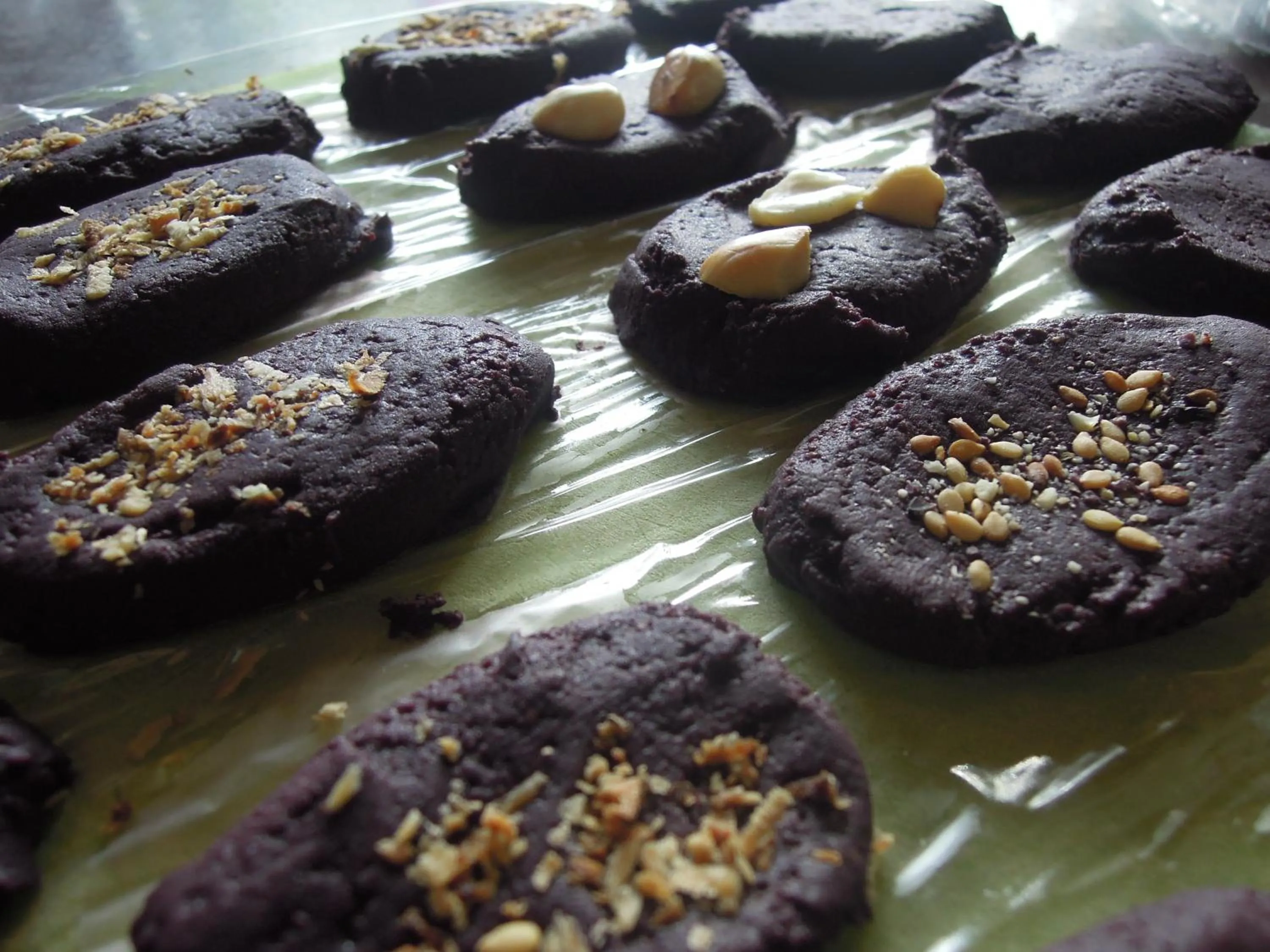 On site in Omega Tours Eco-Jungle Lodge