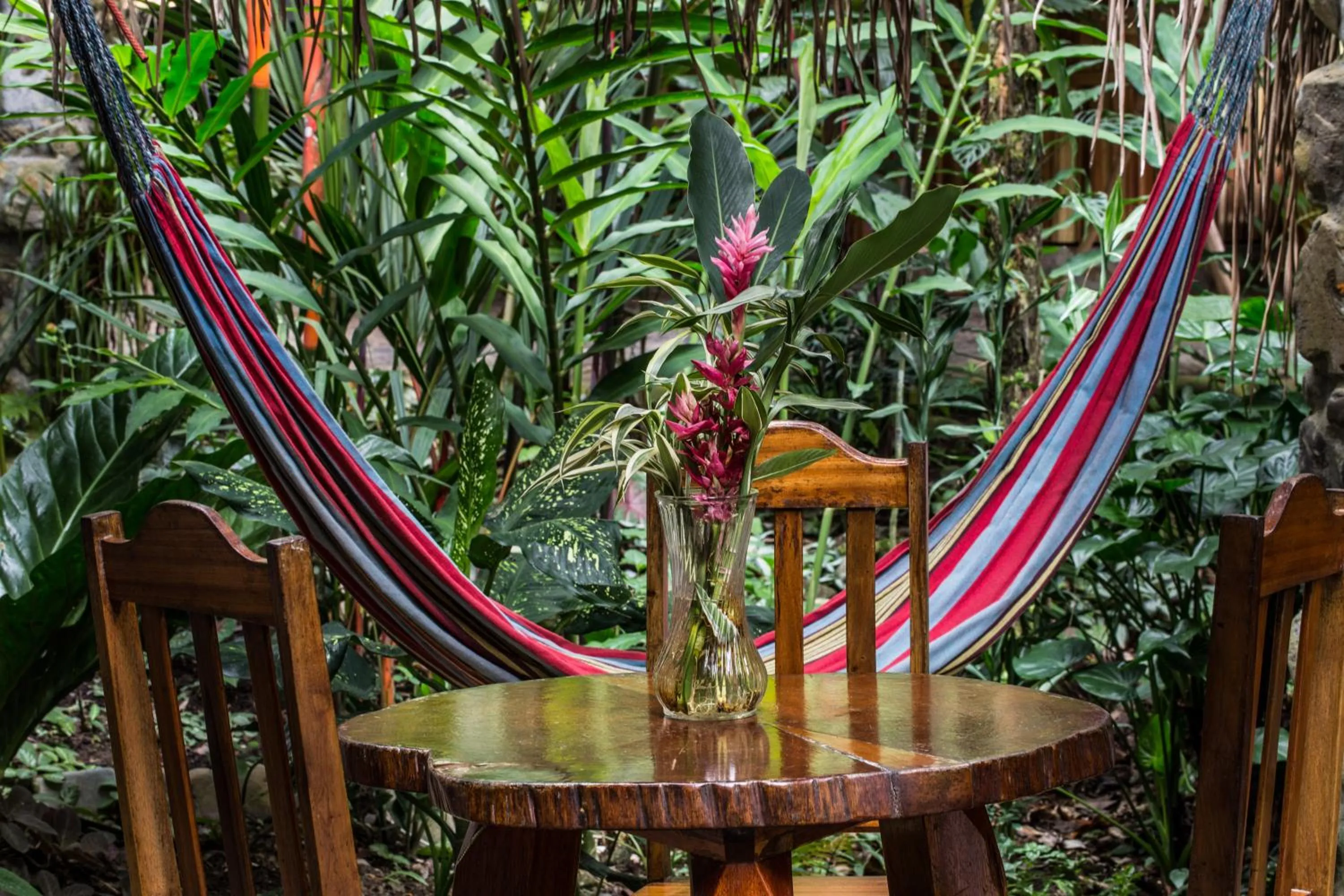 Meals in Omega Tours Eco-Jungle Lodge