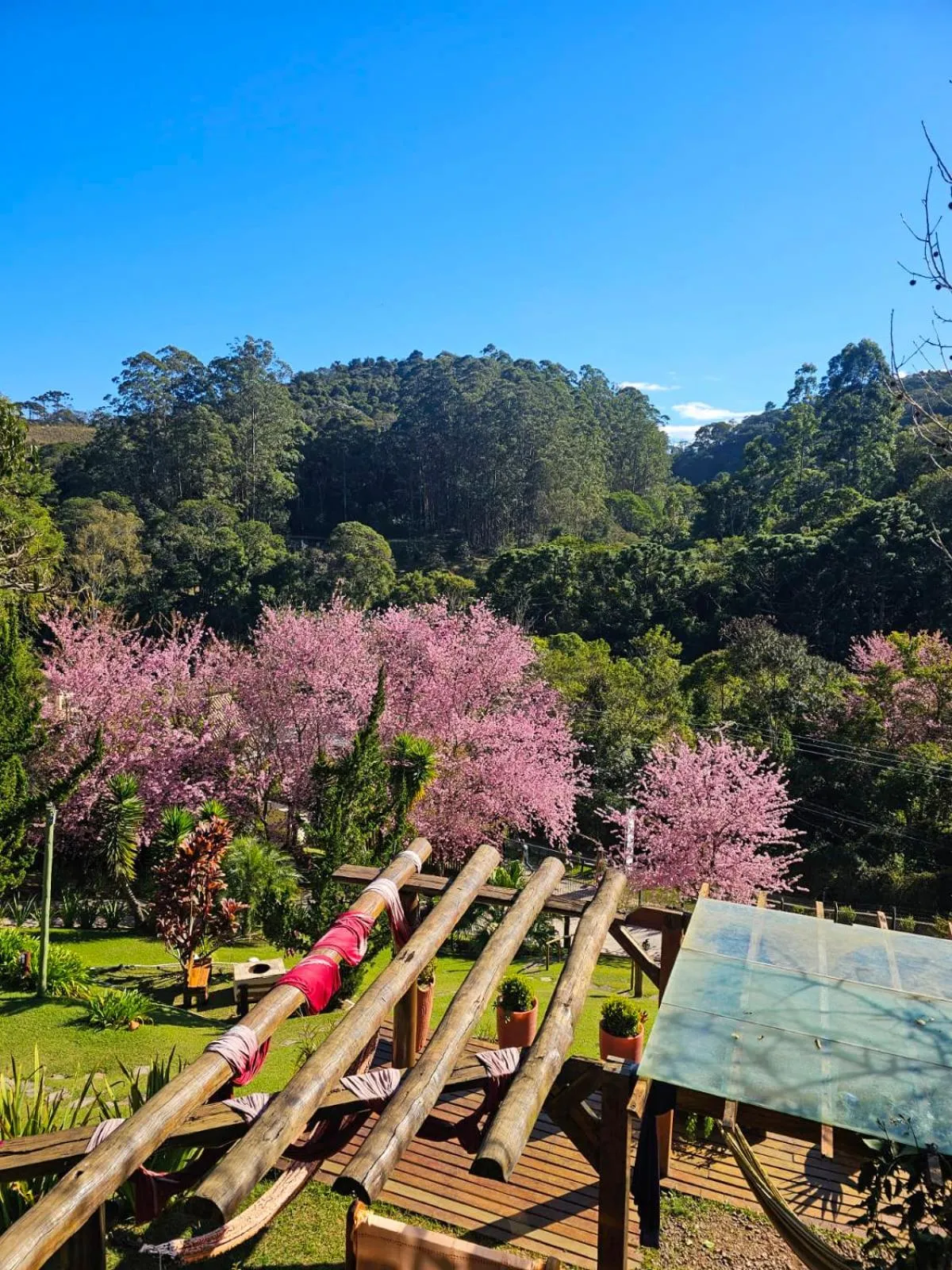 Natural landscape in Pousada Vinhas do Pinhal