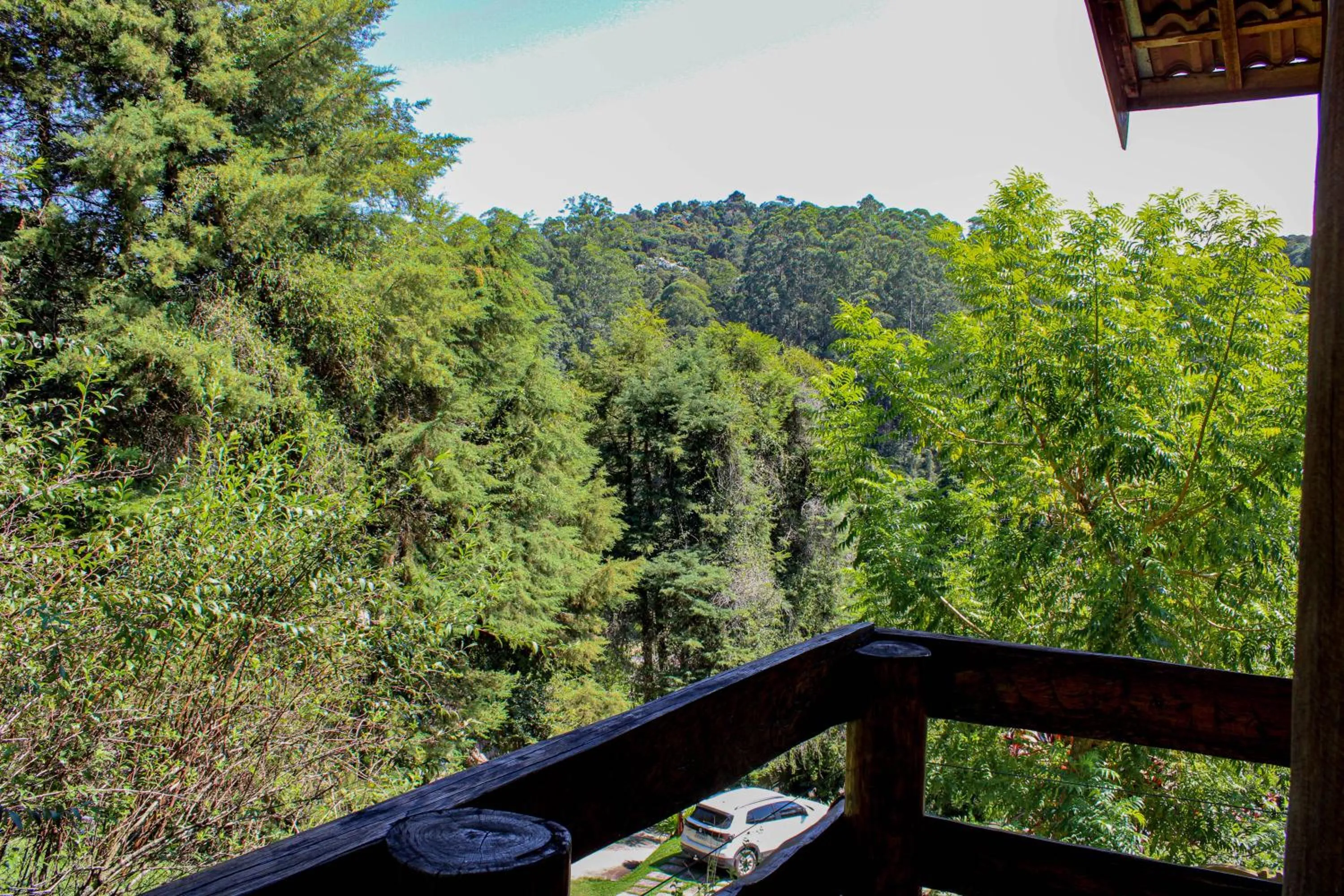 Natural landscape in Pousada Vinhas do Pinhal