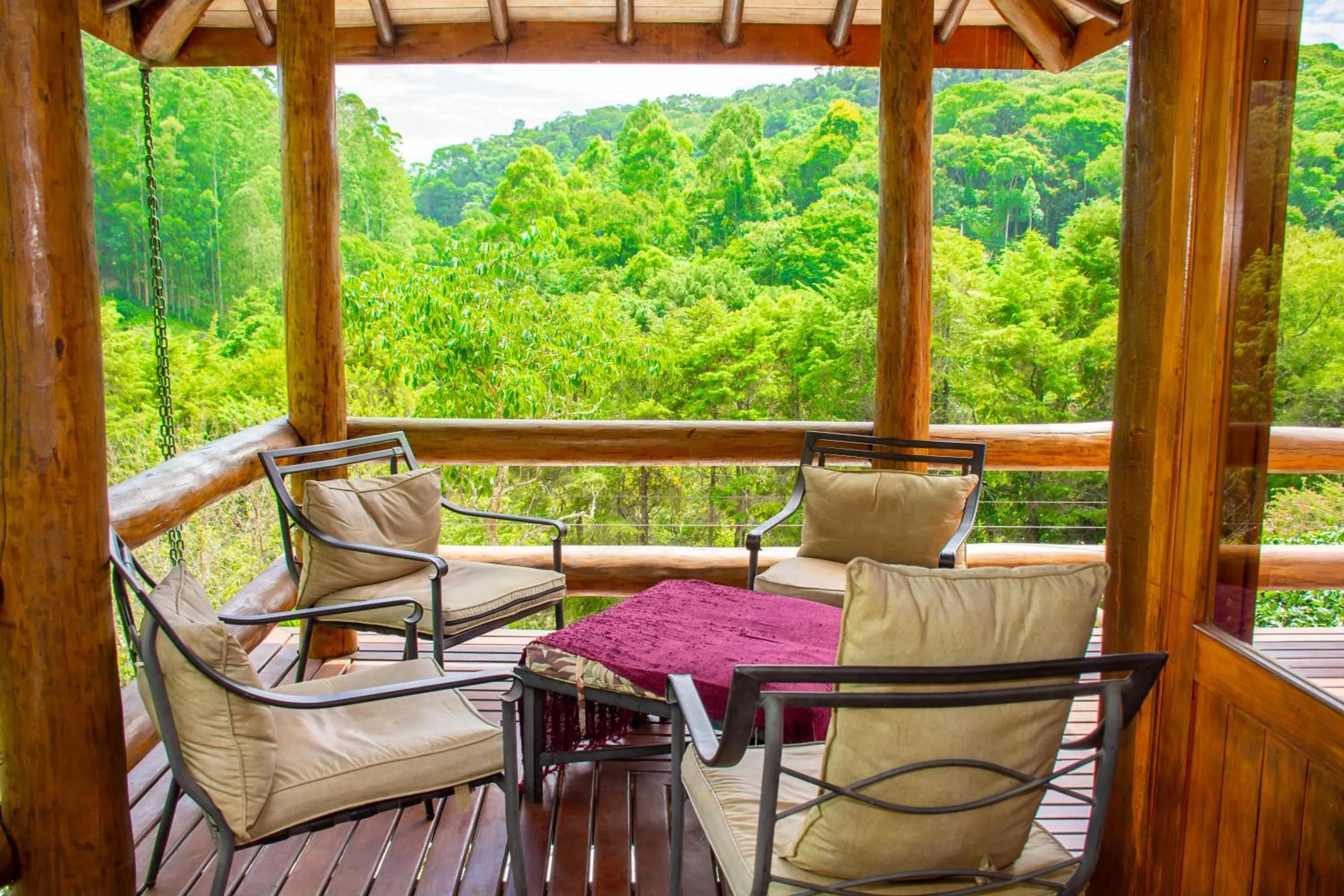 View (from property/room) in Pousada Vinhas do Pinhal