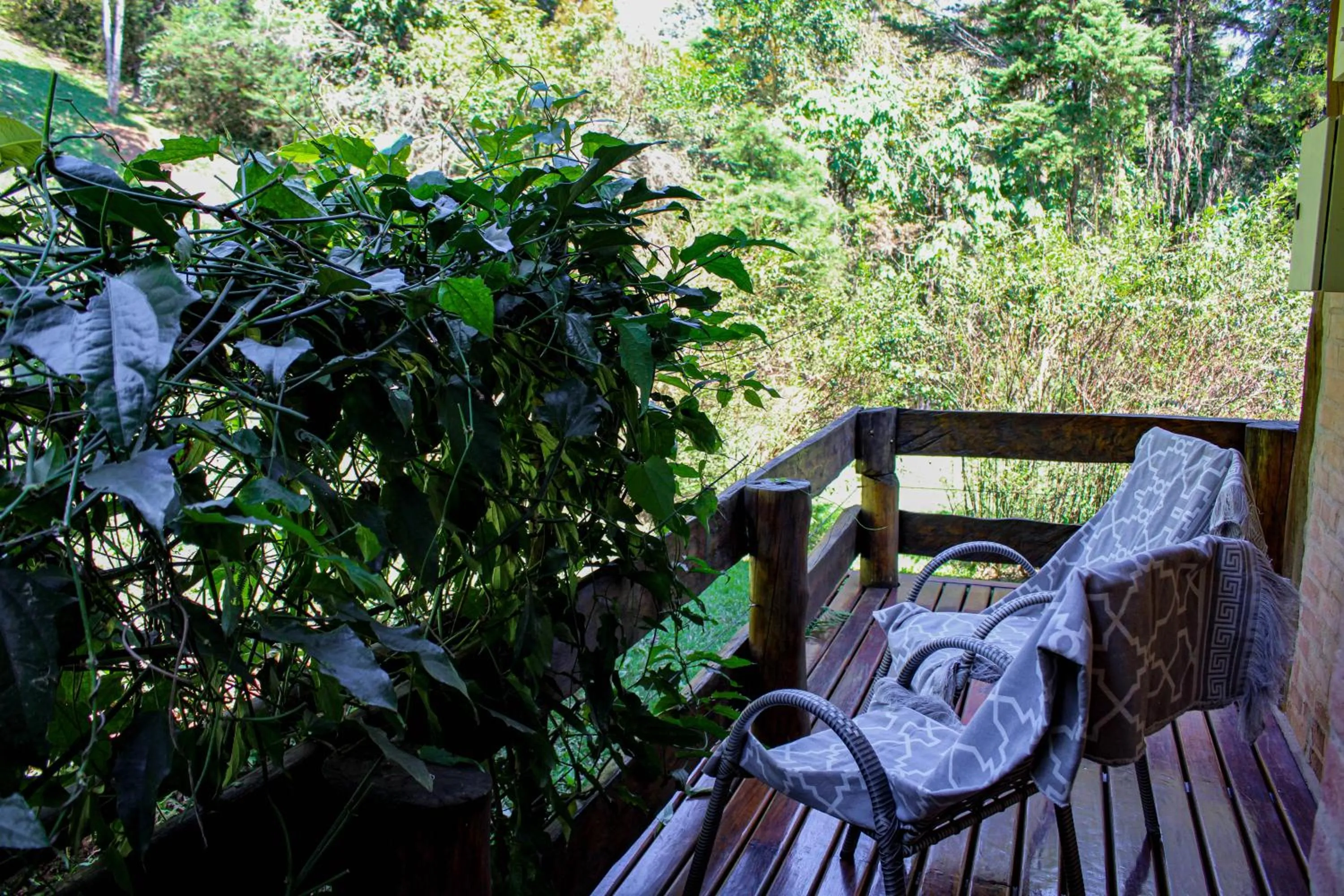 Garden view in Pousada Vinhas do Pinhal