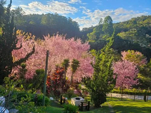 Pousada Vinhas do Pinhal