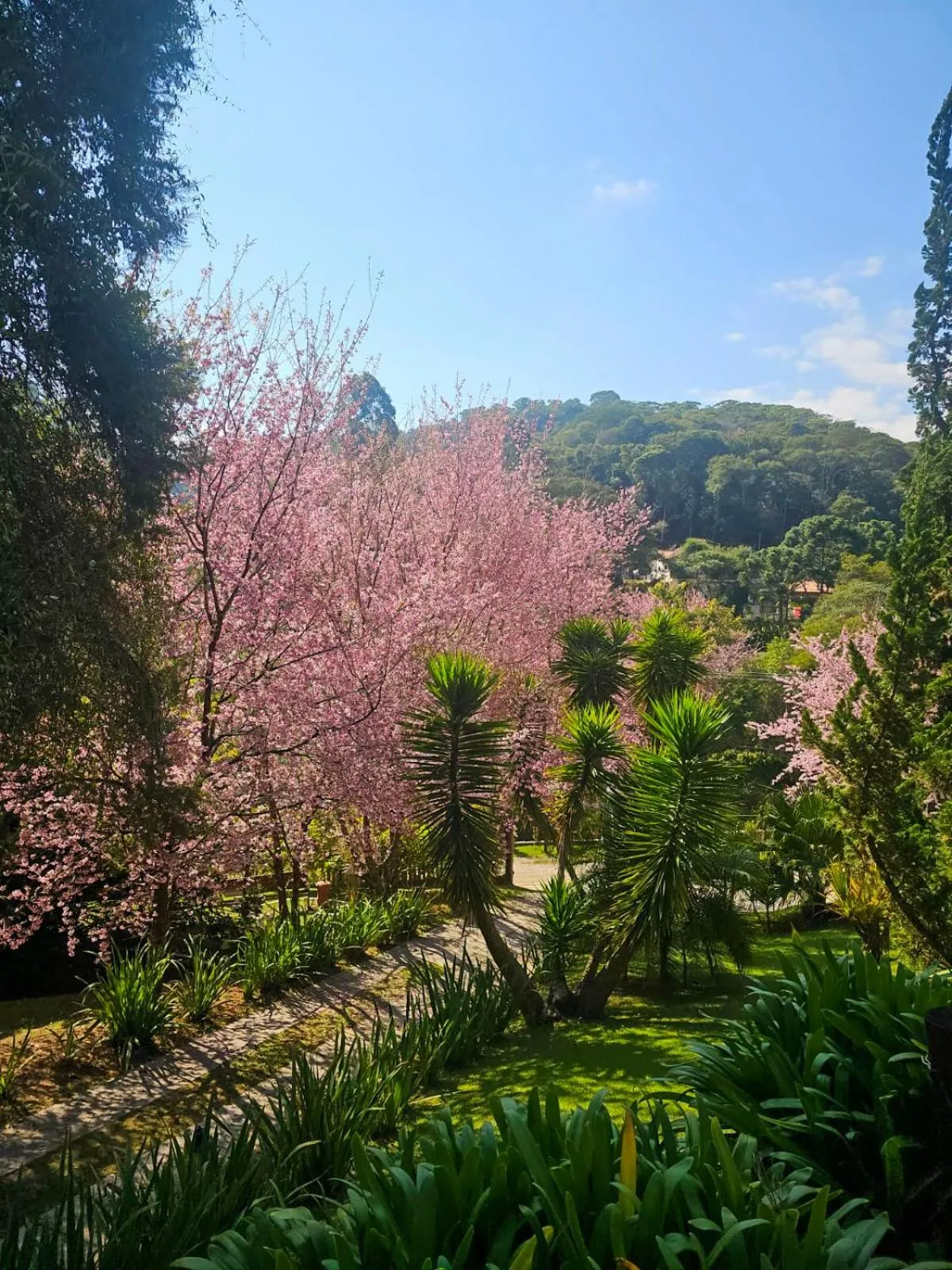 Natural landscape in Pousada Vinhas do Pinhal