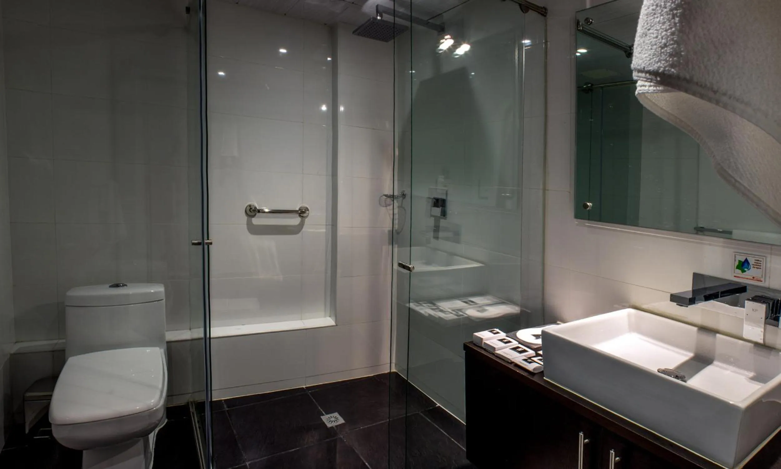 Shower in Hotel Metropolitano