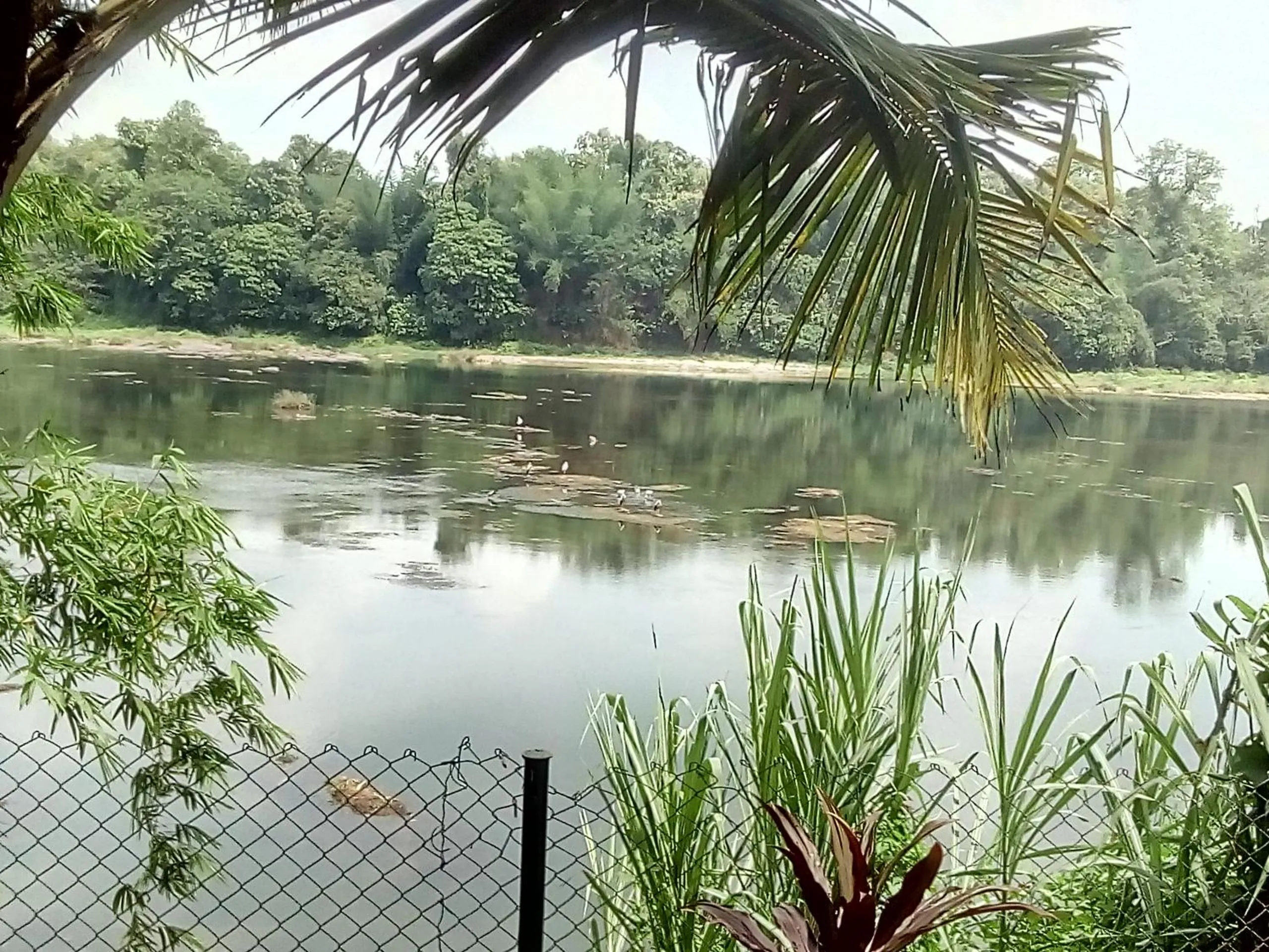 River view in Elephant Pass Ayurveda & Yoga Retreat