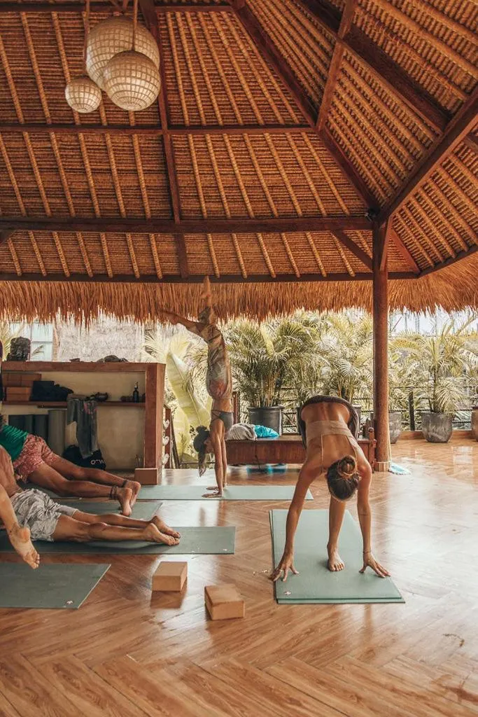 Fitness centre/facilities in Lulu's Villas