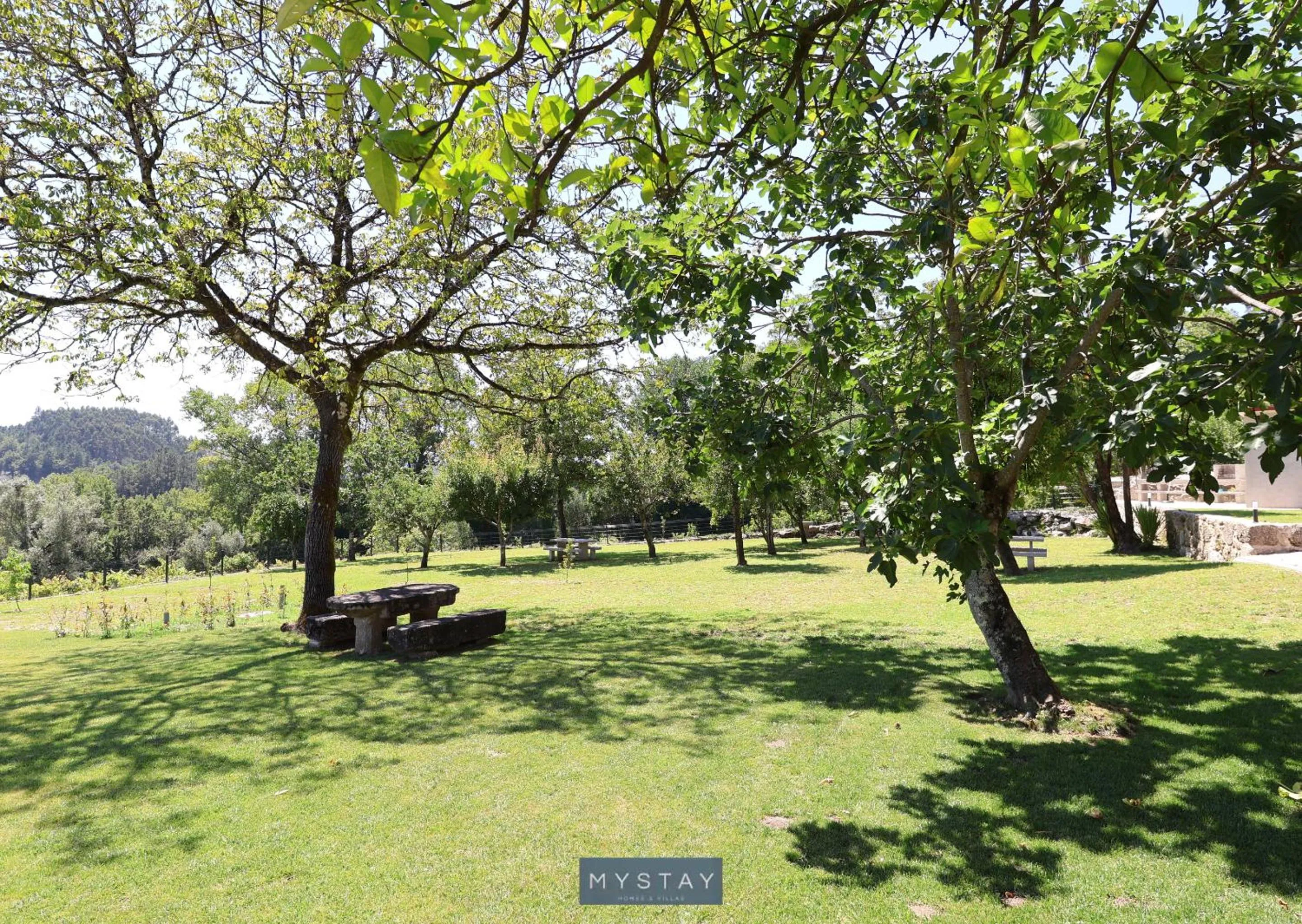 Garden in MyStay - Casa d'Henrique