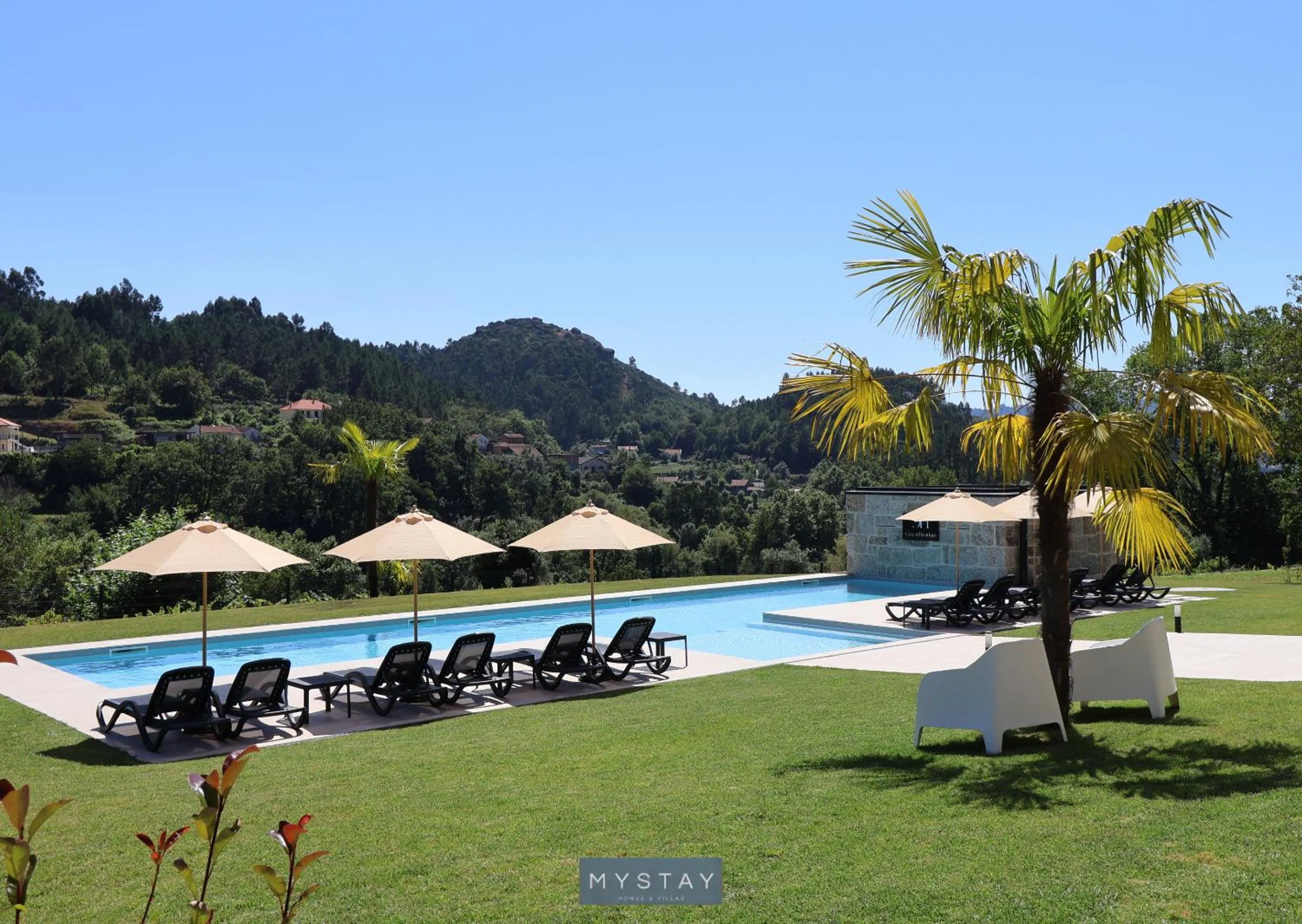 Garden in MyStay - Casa d'Henrique