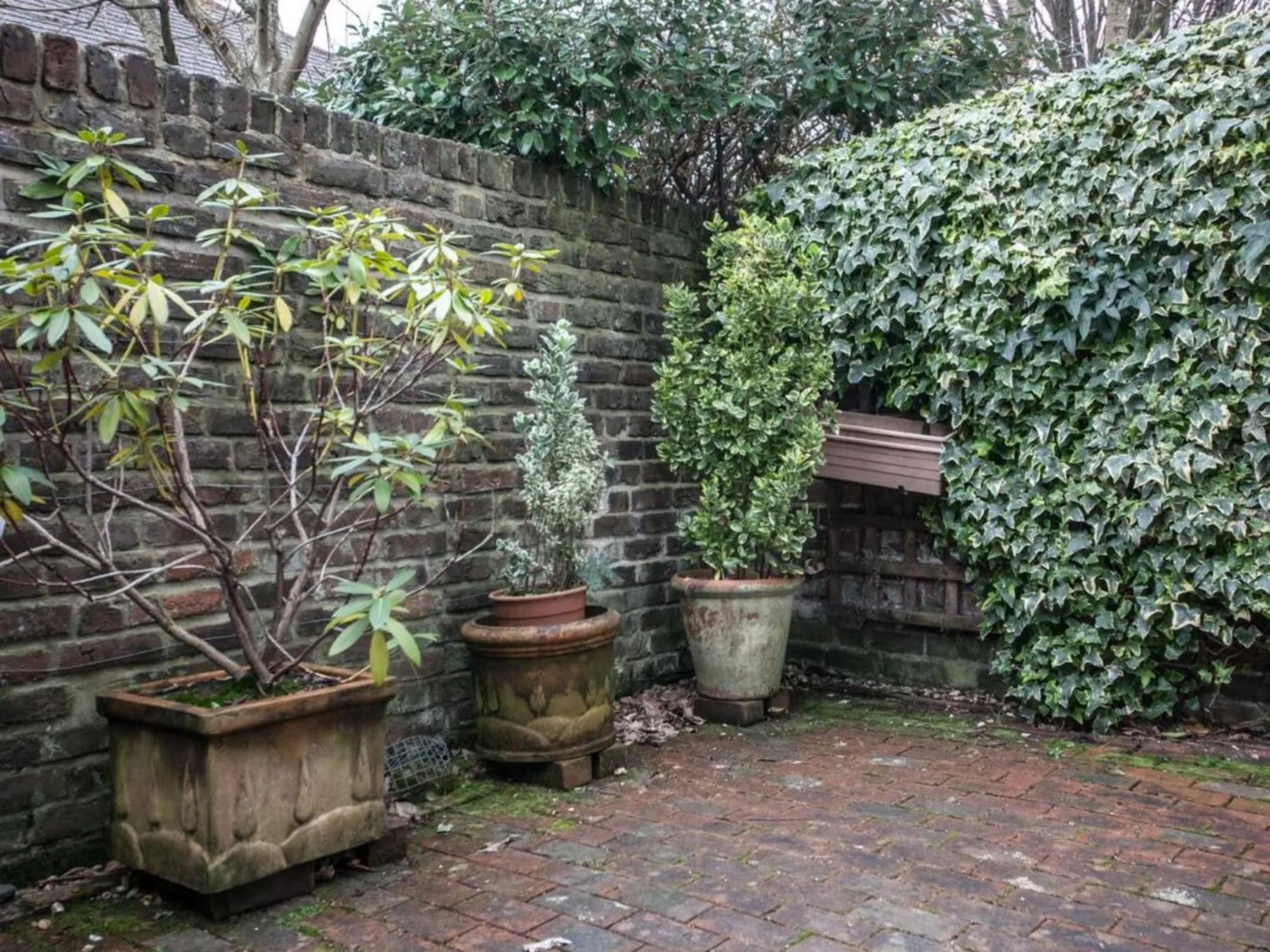 Patio in The Blue House
