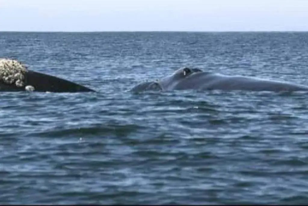 Sea view in 65onCliff Sea view in 65onCliff