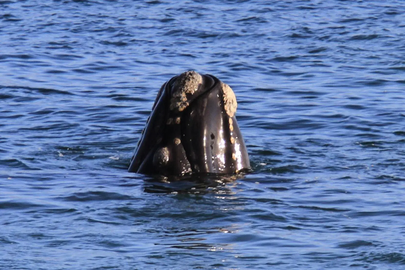 View (from property/room) in 65onCliff View (from property/room) in 65onCliff