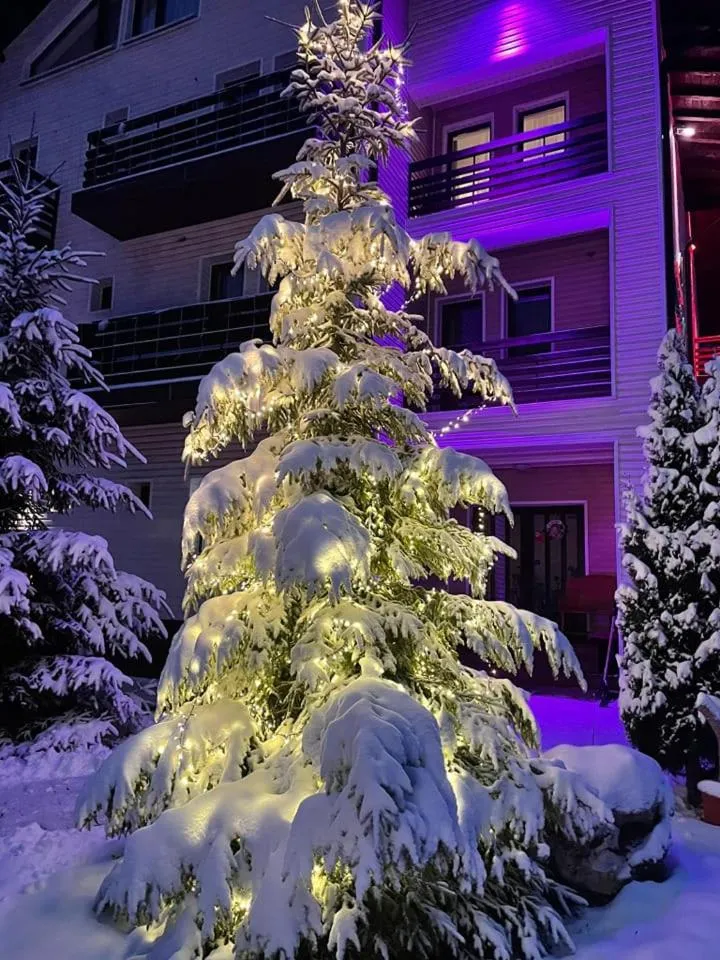 Hotel Draga Maria