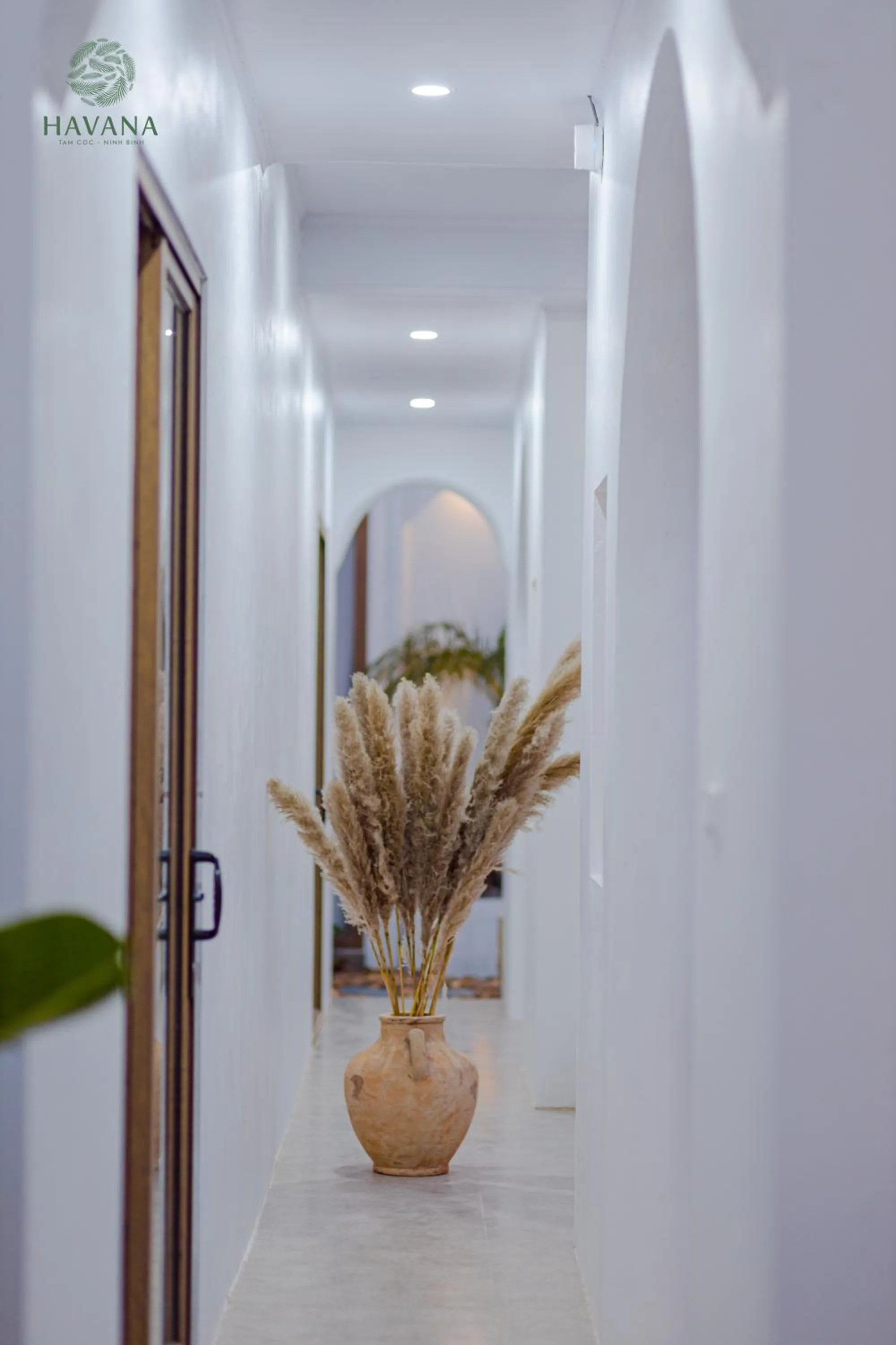 Havana Tam Coc Ninh Binh