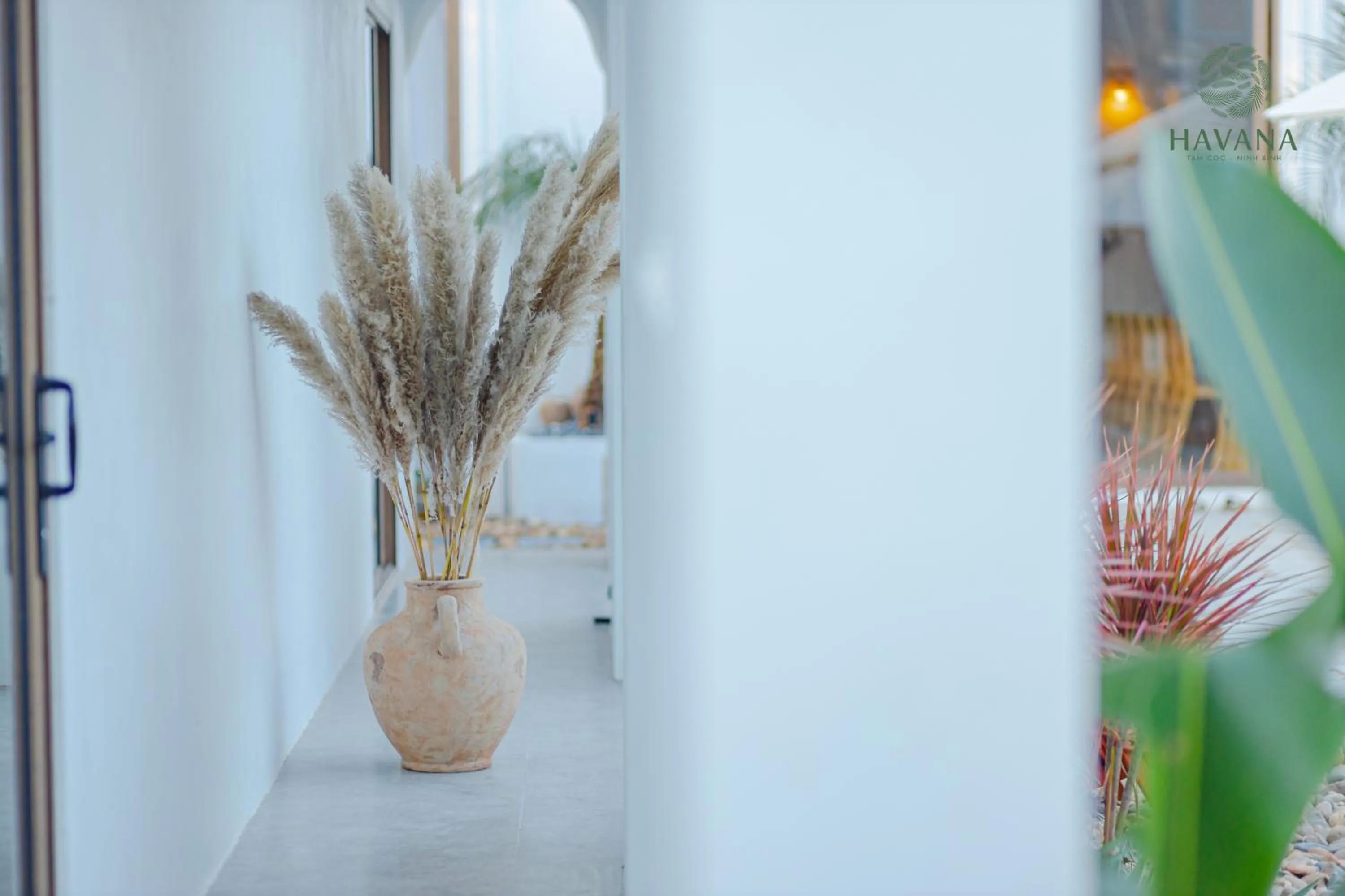 Havana Tam Coc Ninh Binh