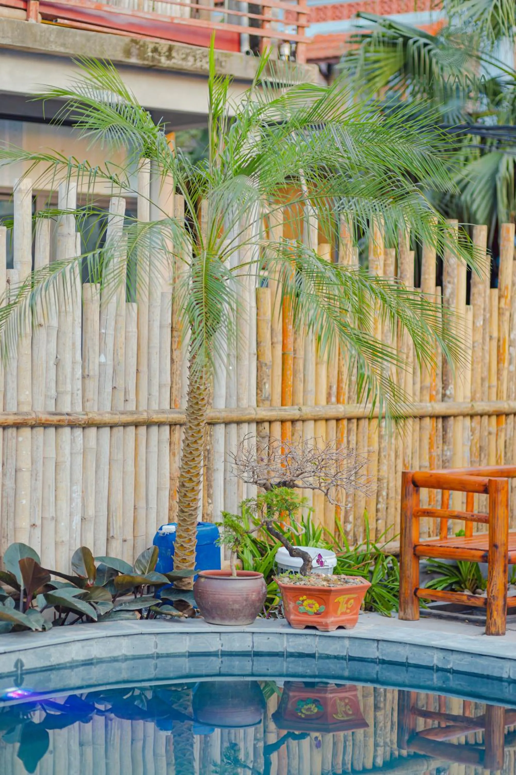 Havana Tam Coc Ninh Binh