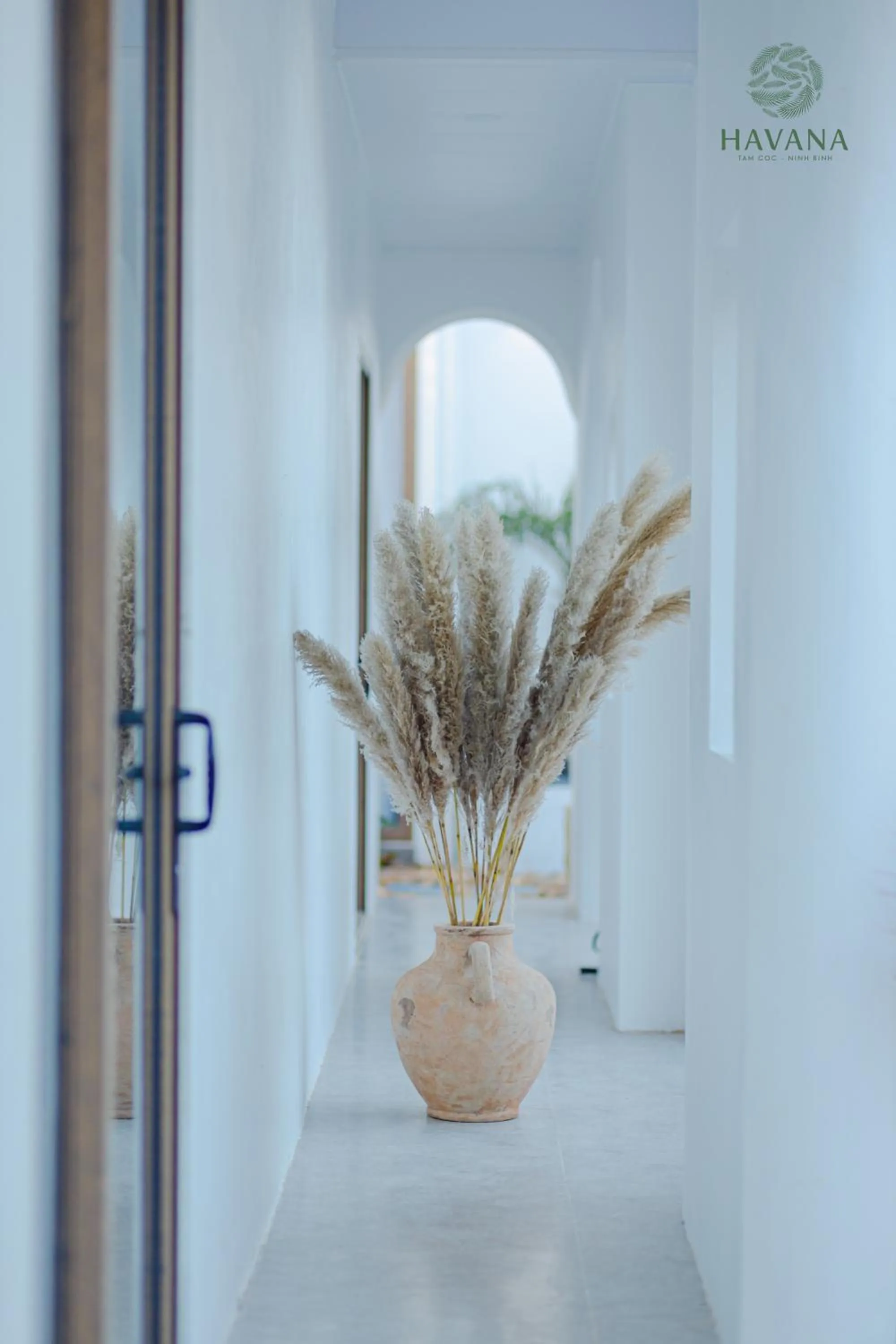 Havana Tam Coc Ninh Binh