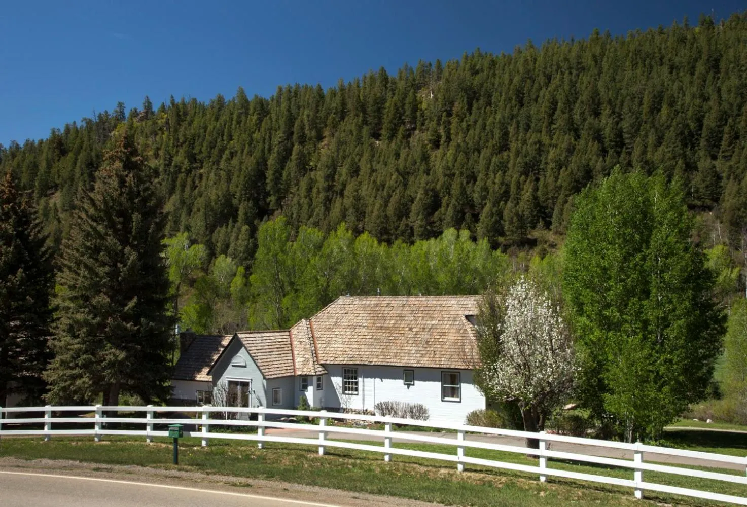 Antlers on the Creek Bed & Breakfast