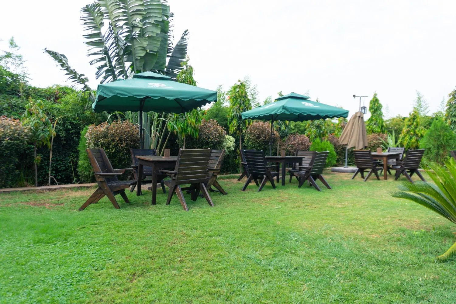 Spring in The Maridadi Hotel