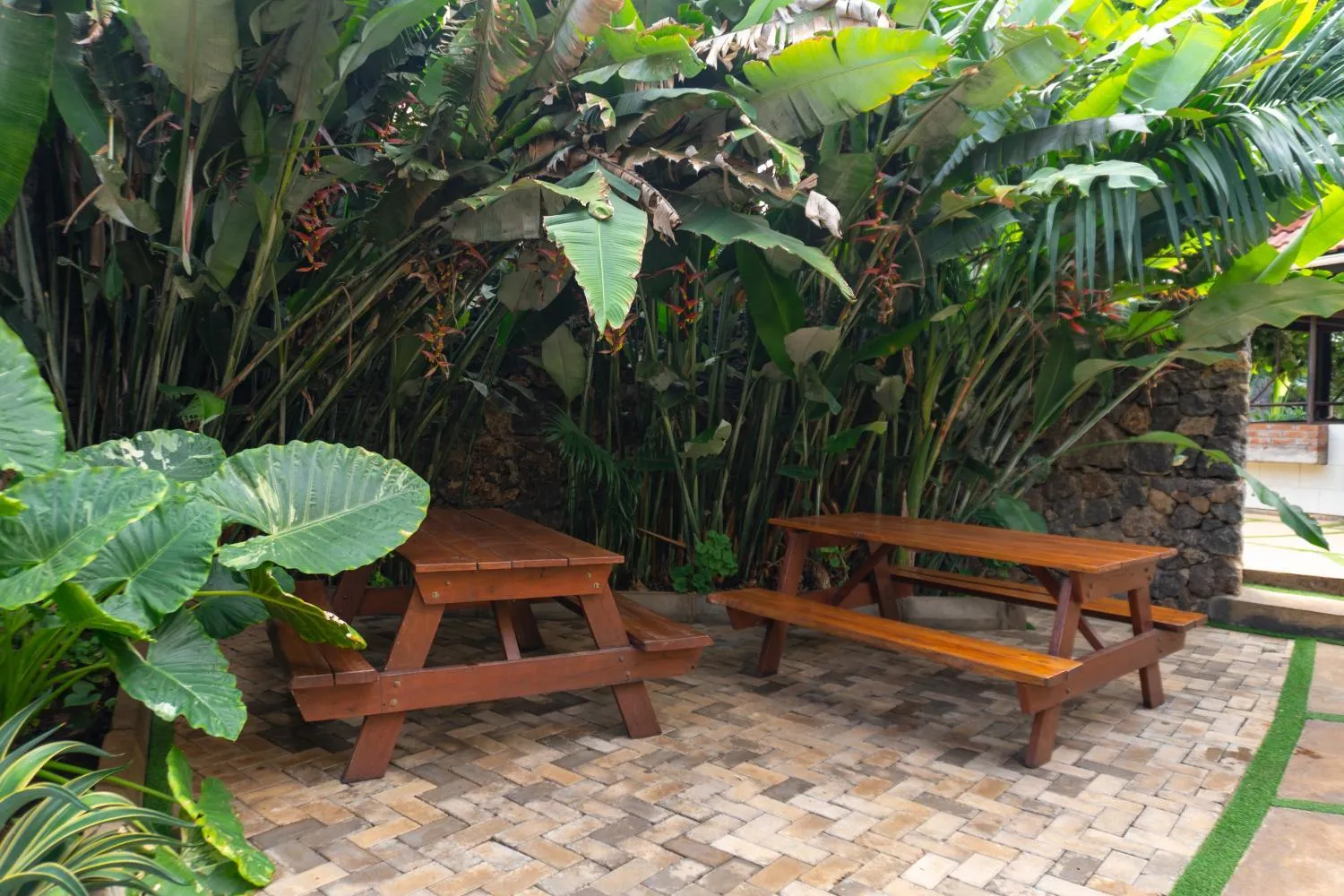 Spring in The Maridadi Hotel