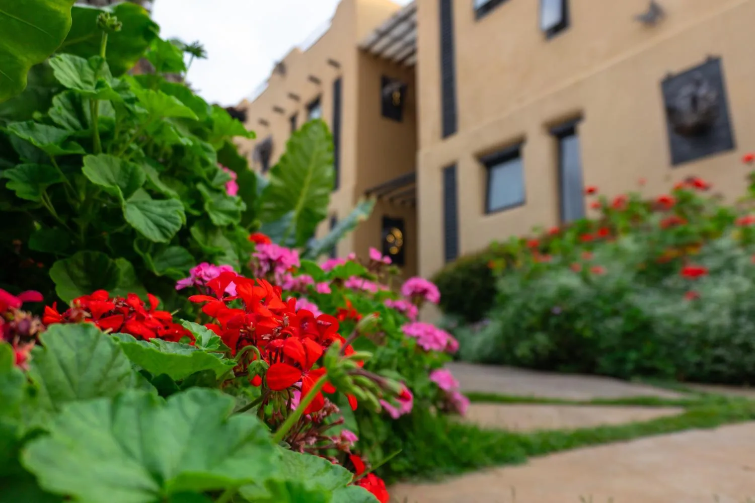 Property building in The Maridadi Hotel