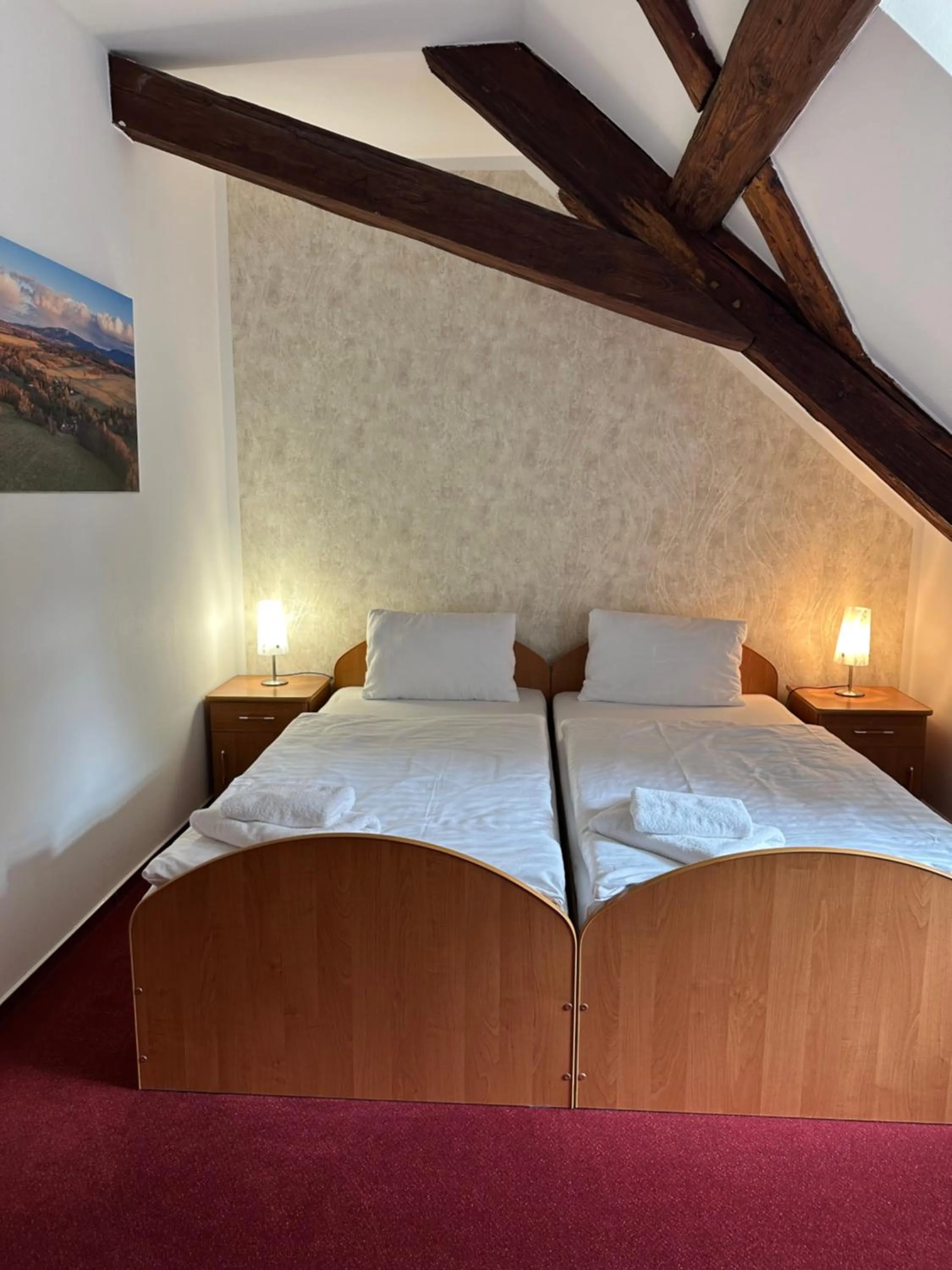 Bed in Hotel Zámeček Raspenava