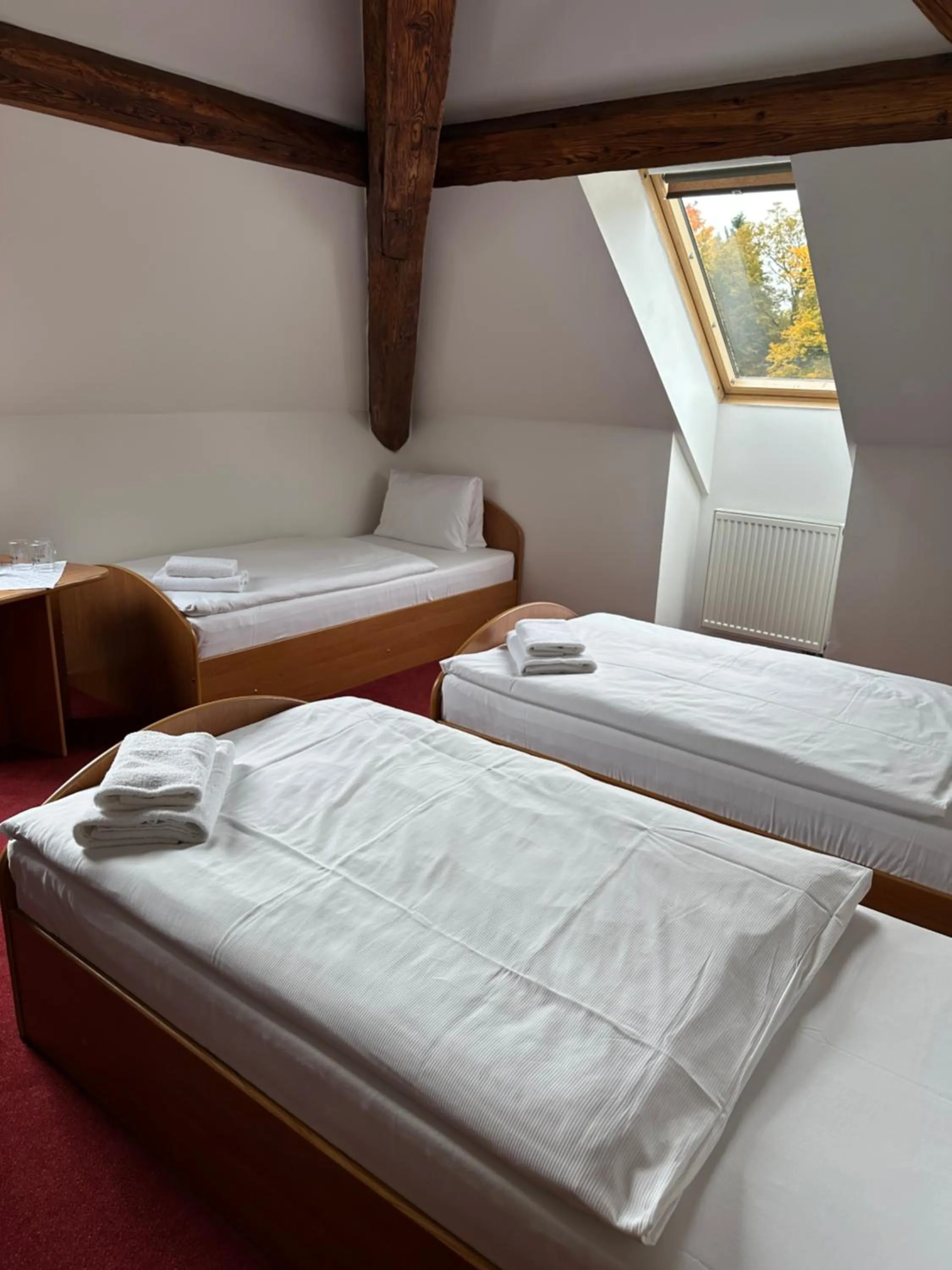 Bed in Hotel Zámeček Raspenava