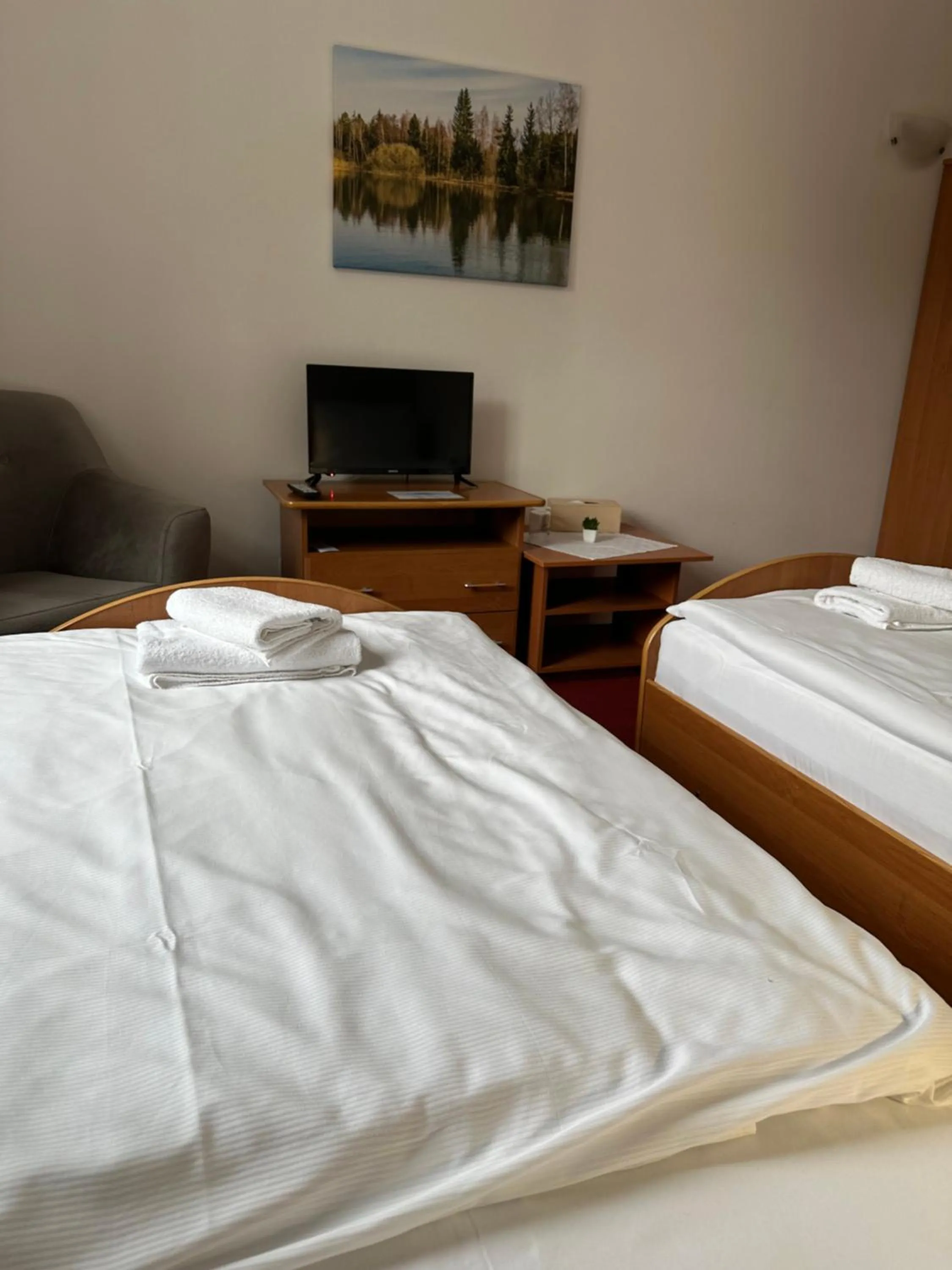 Bed in Hotel Zámeček Raspenava