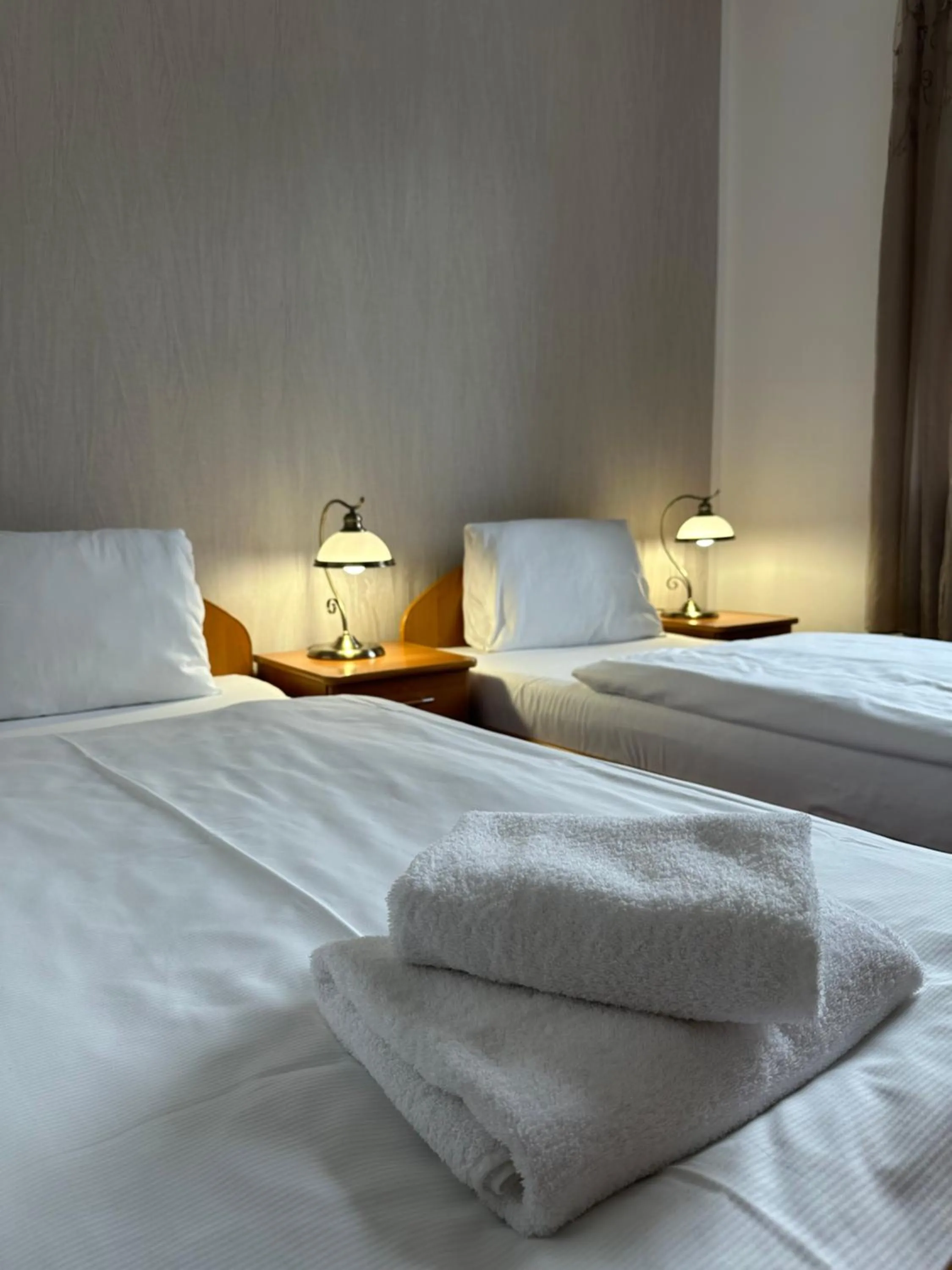 Bed in Hotel Zámeček Raspenava