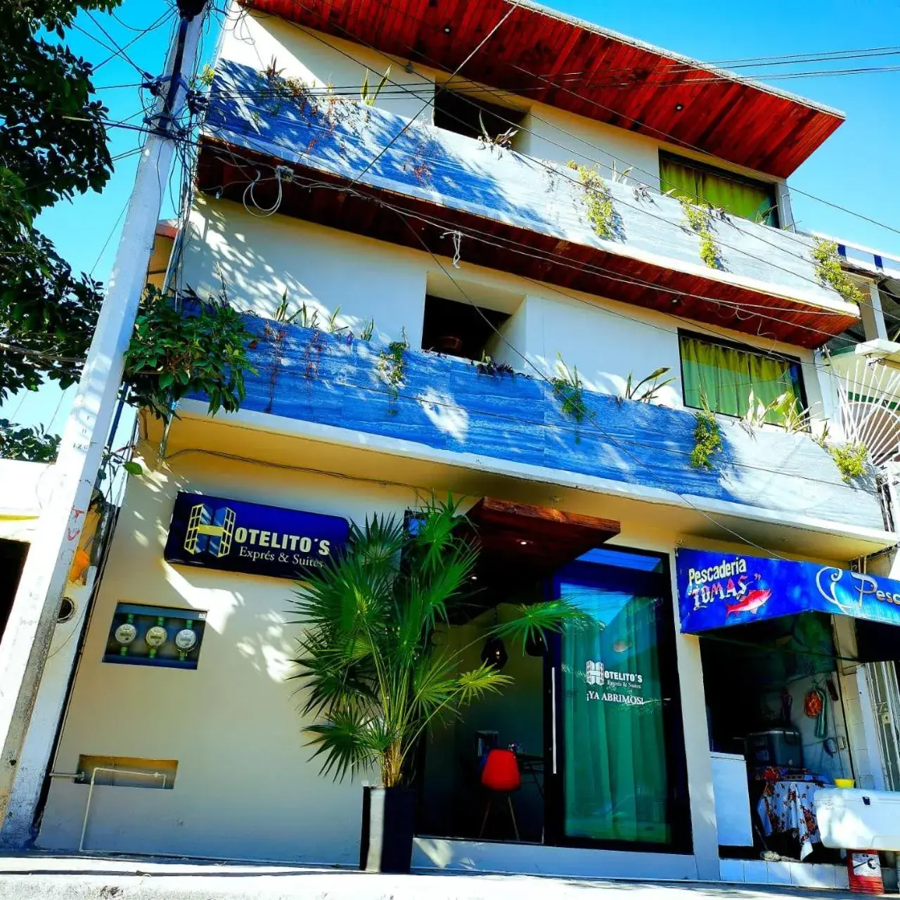 Double Room in Hotelito s Double Room in Hotelito s