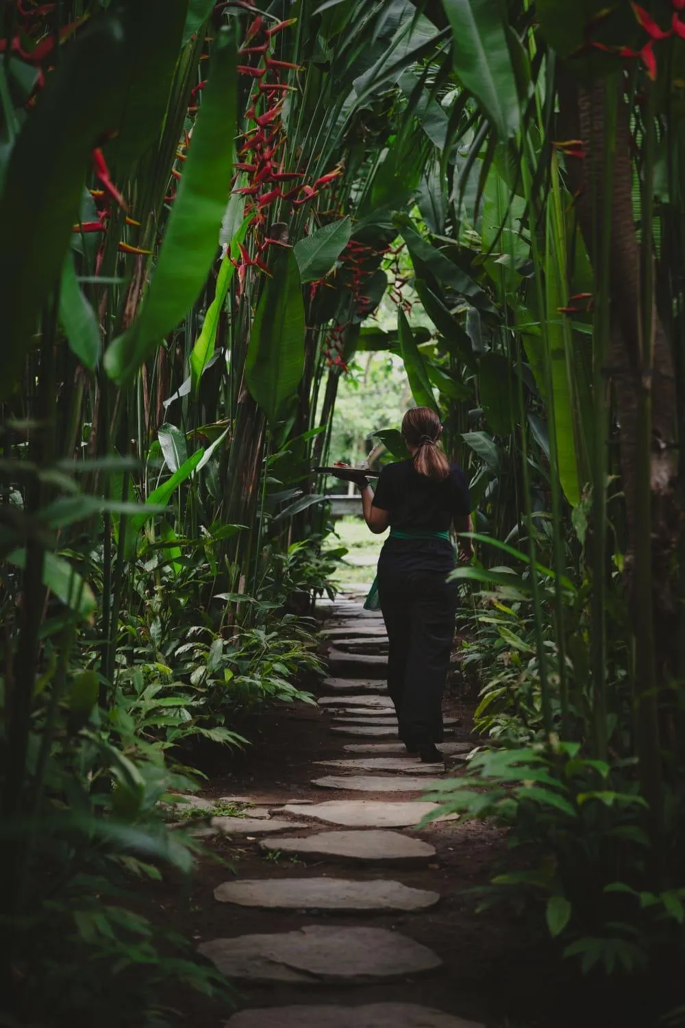 Garden in Kayu Village