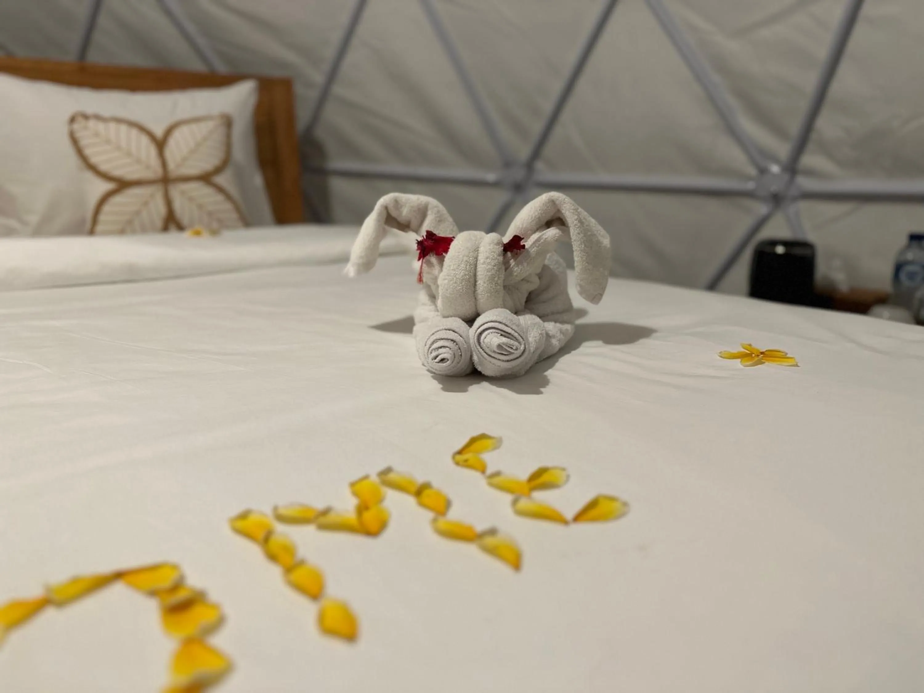 Photo of the whole room, Bed in Glamping @ Pebbles & Fins